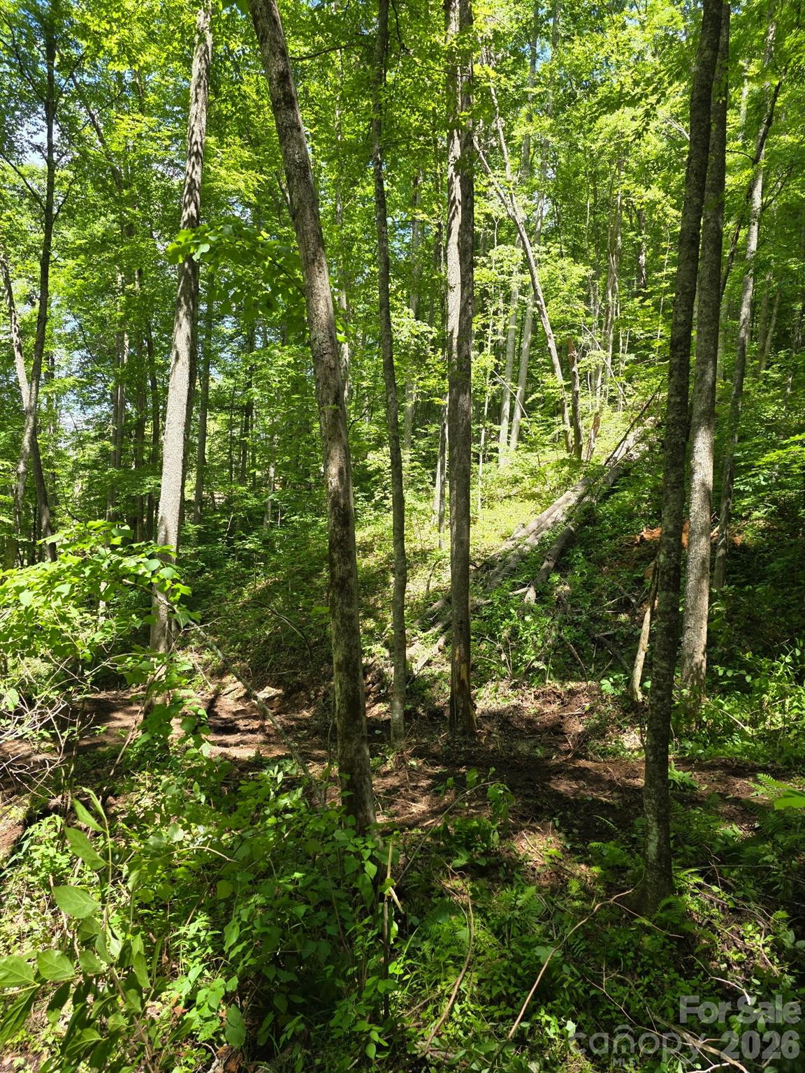 533 Enchanted Forest Drive