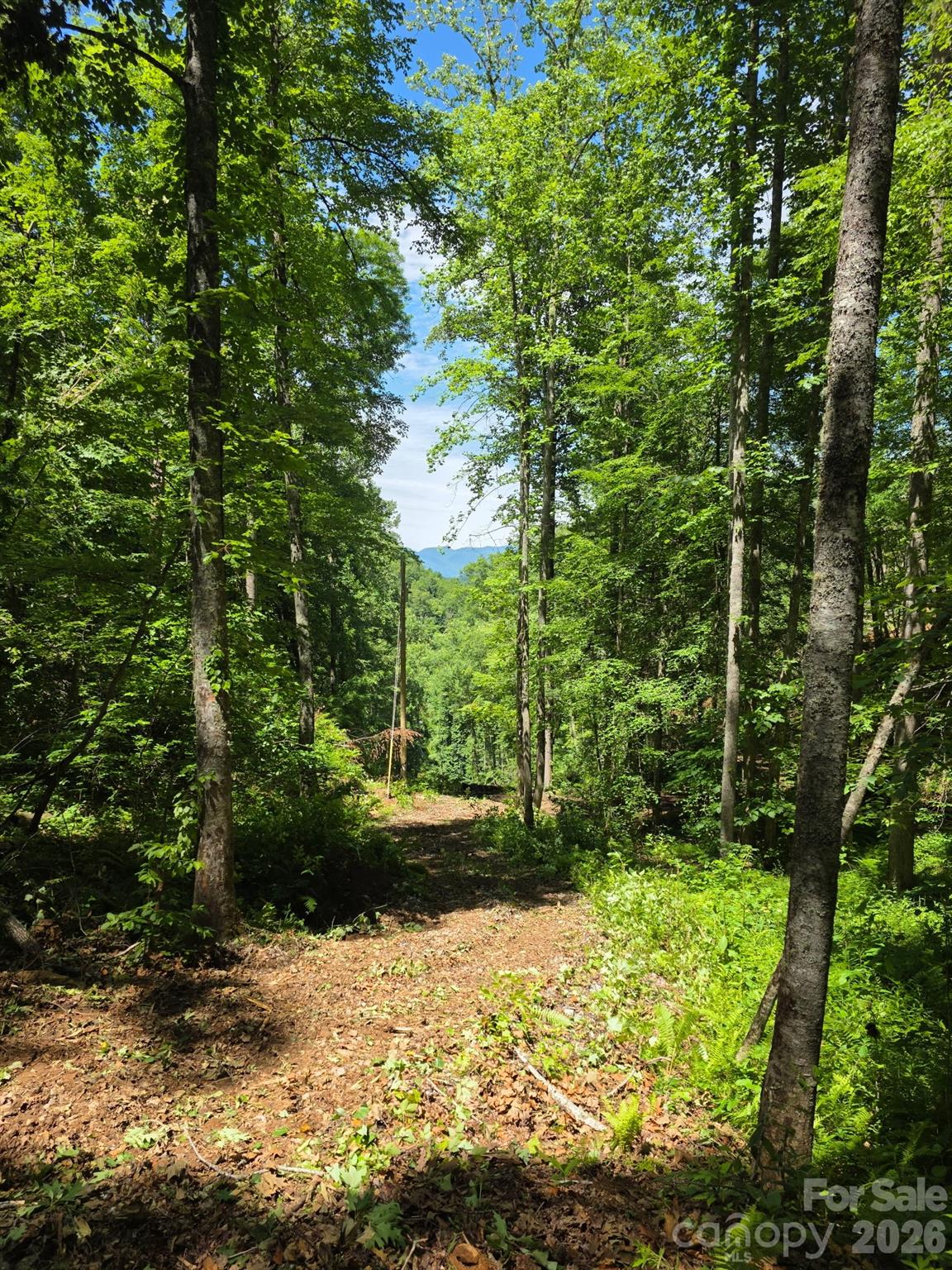 533 Enchanted Forest Drive