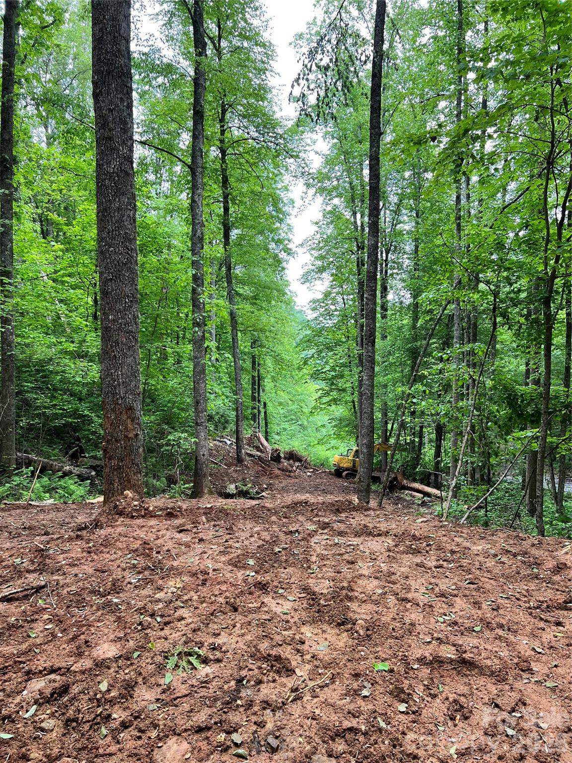 533 Enchanted Forest Drive, Sylva, NC, 28779