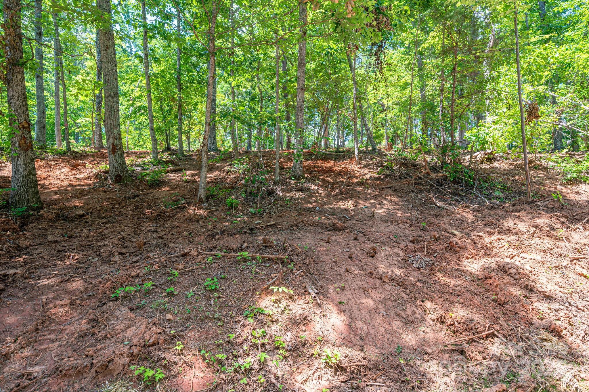 Cleghorn Plantation - Land