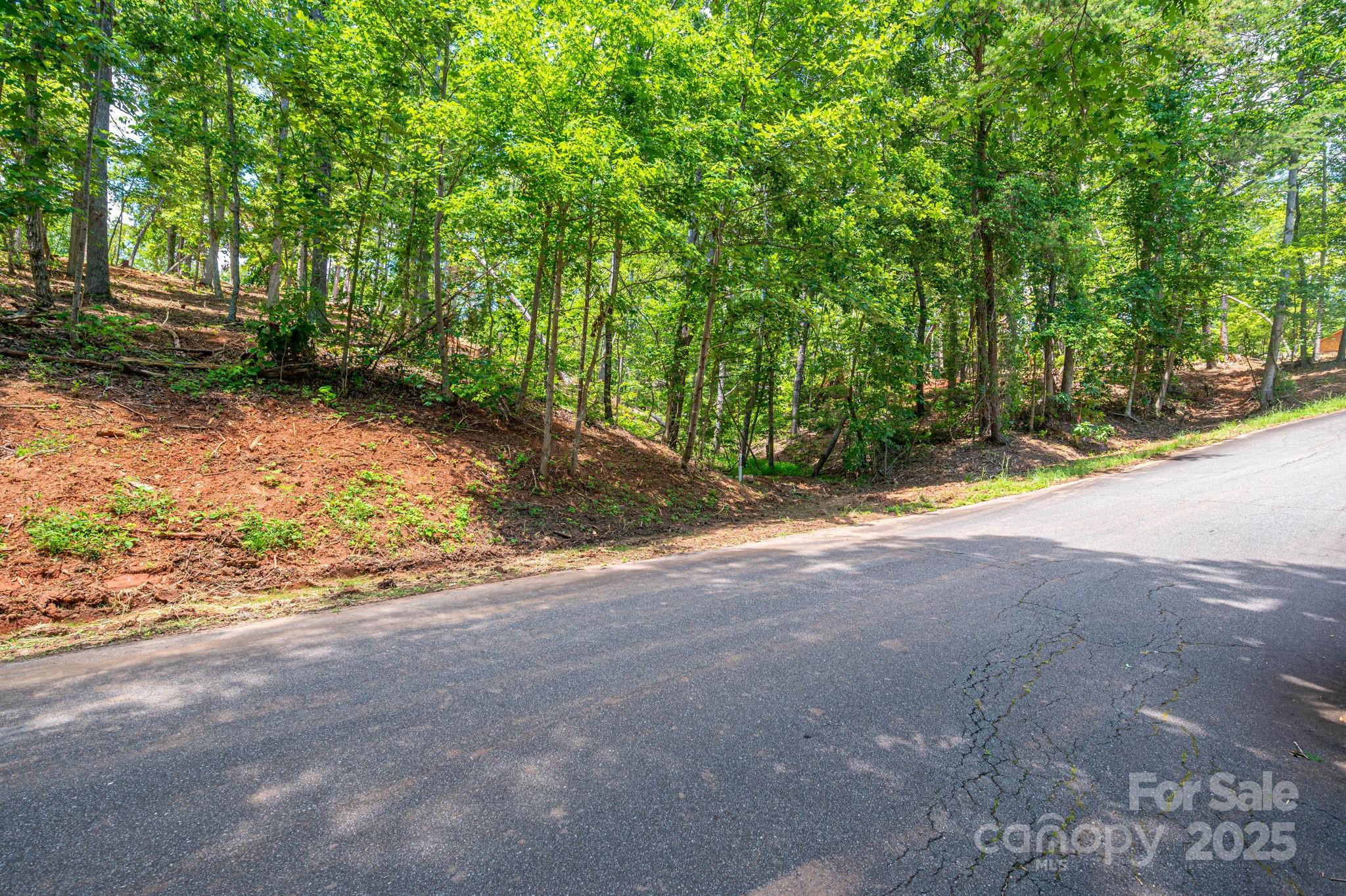 Cleghorn Plantation - Land