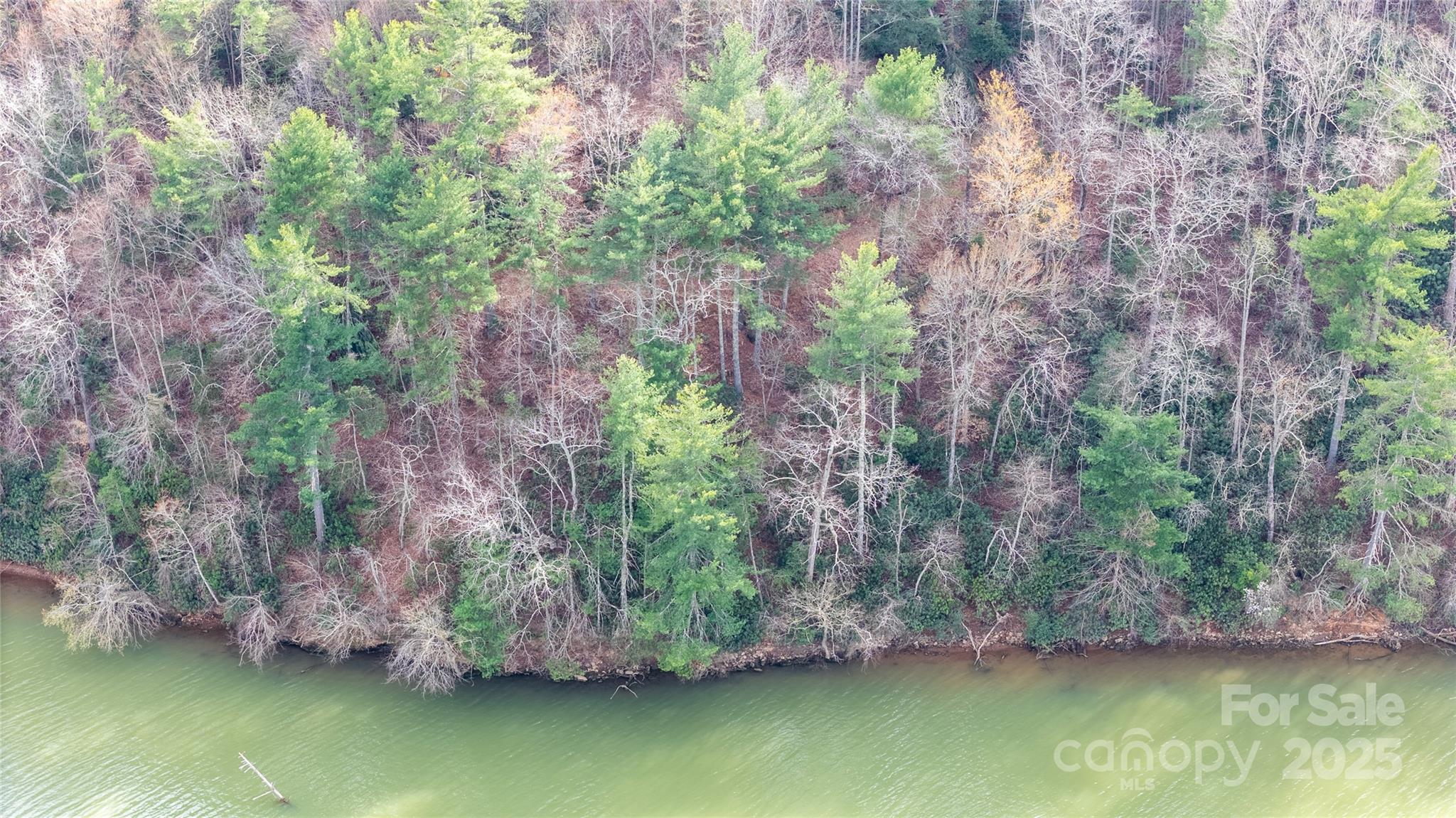 McGalliard Pointe - Land