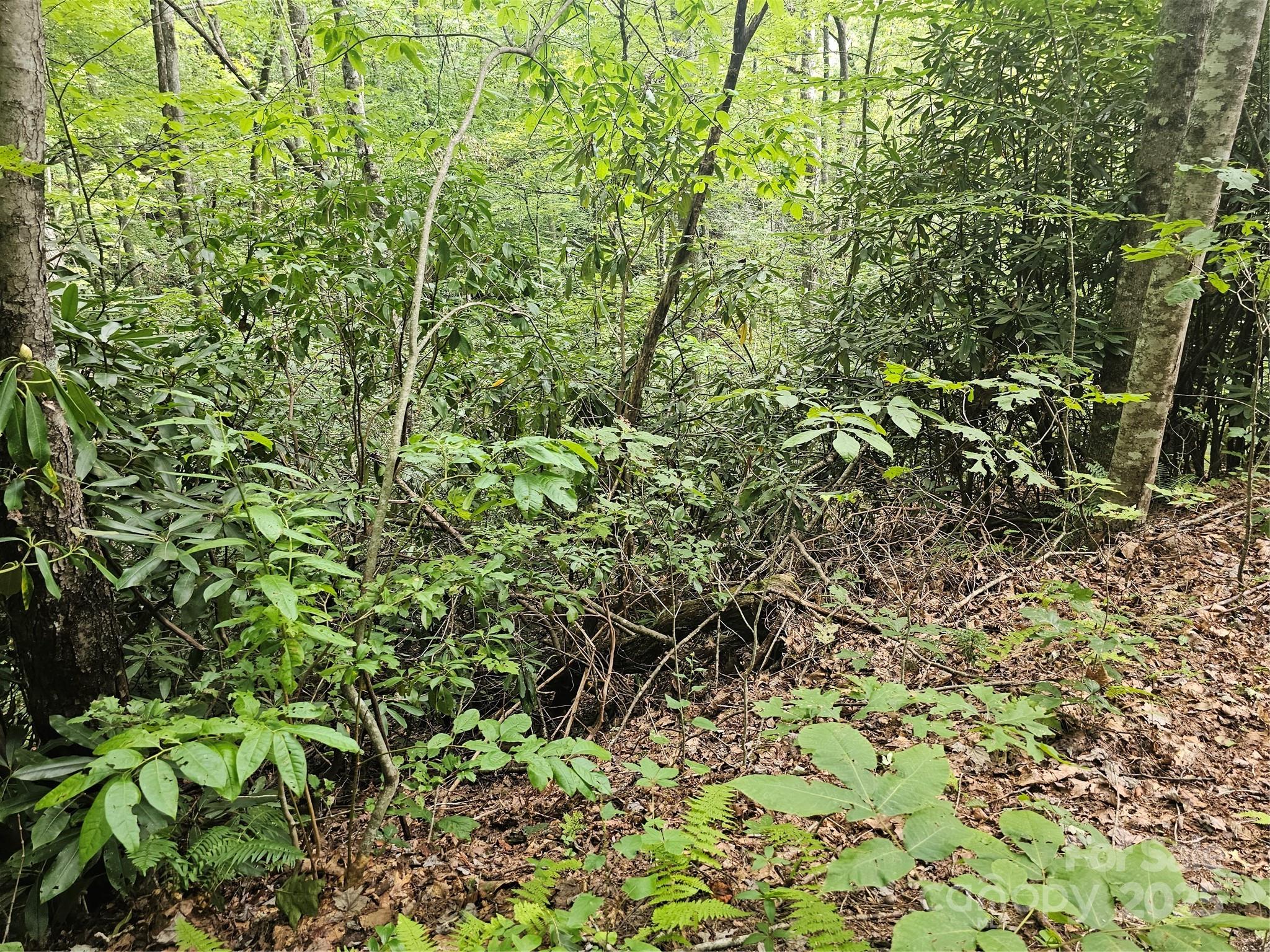 PINNACLE MOUNTAIN VIEW - Land