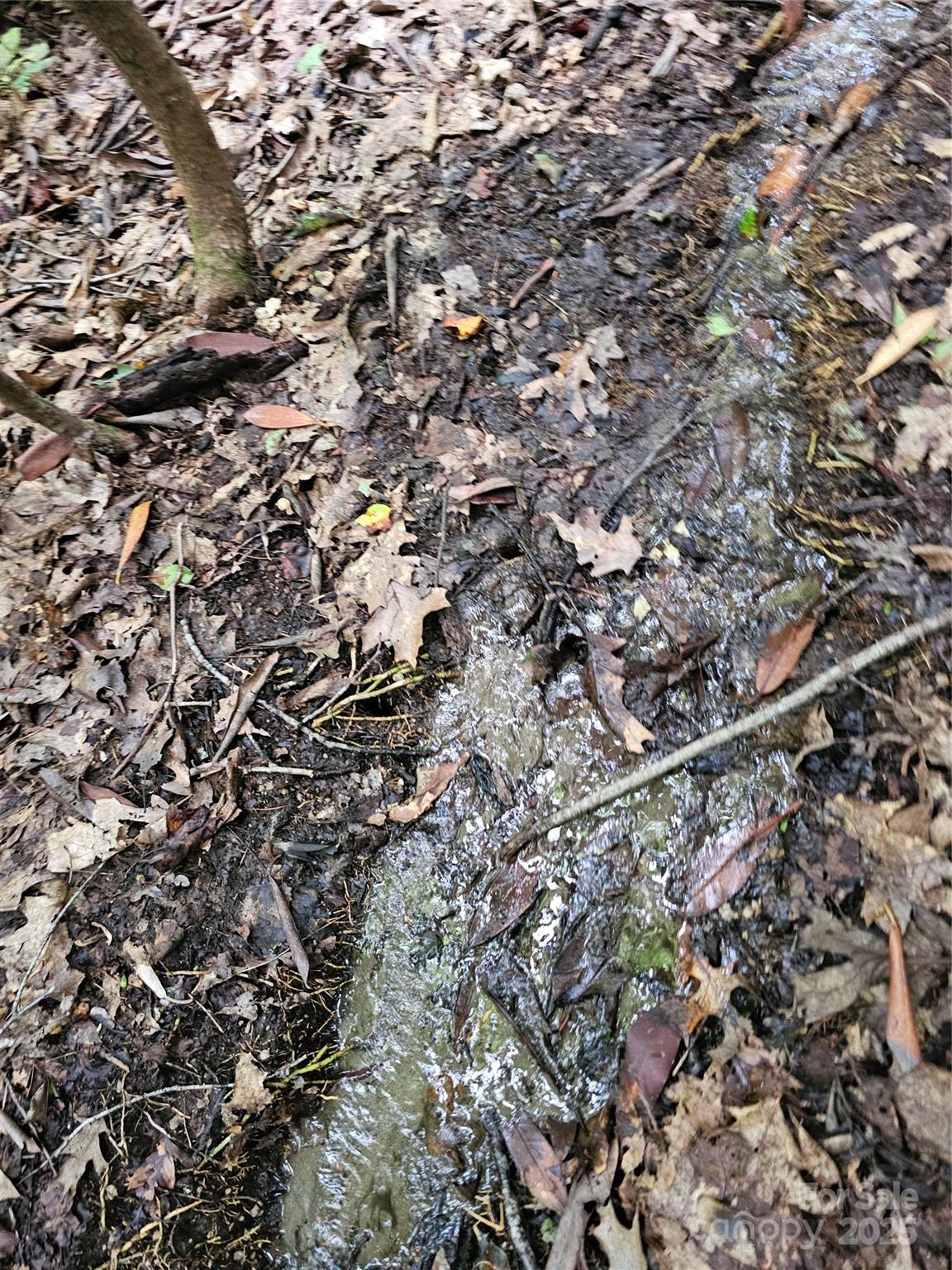 PINNACLE MOUNTAIN VIEW - Land