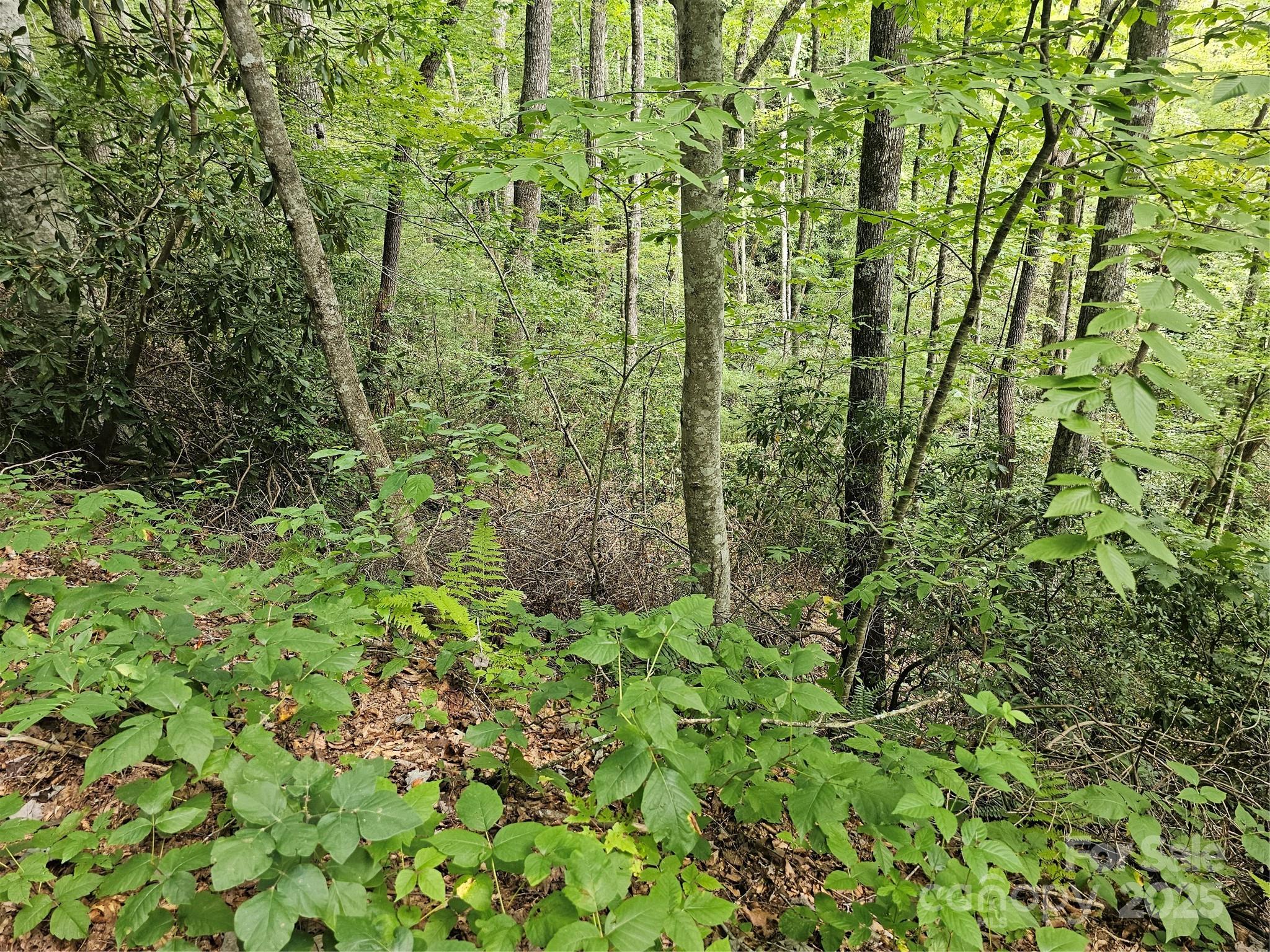 PINNACLE MOUNTAIN VIEW - Land