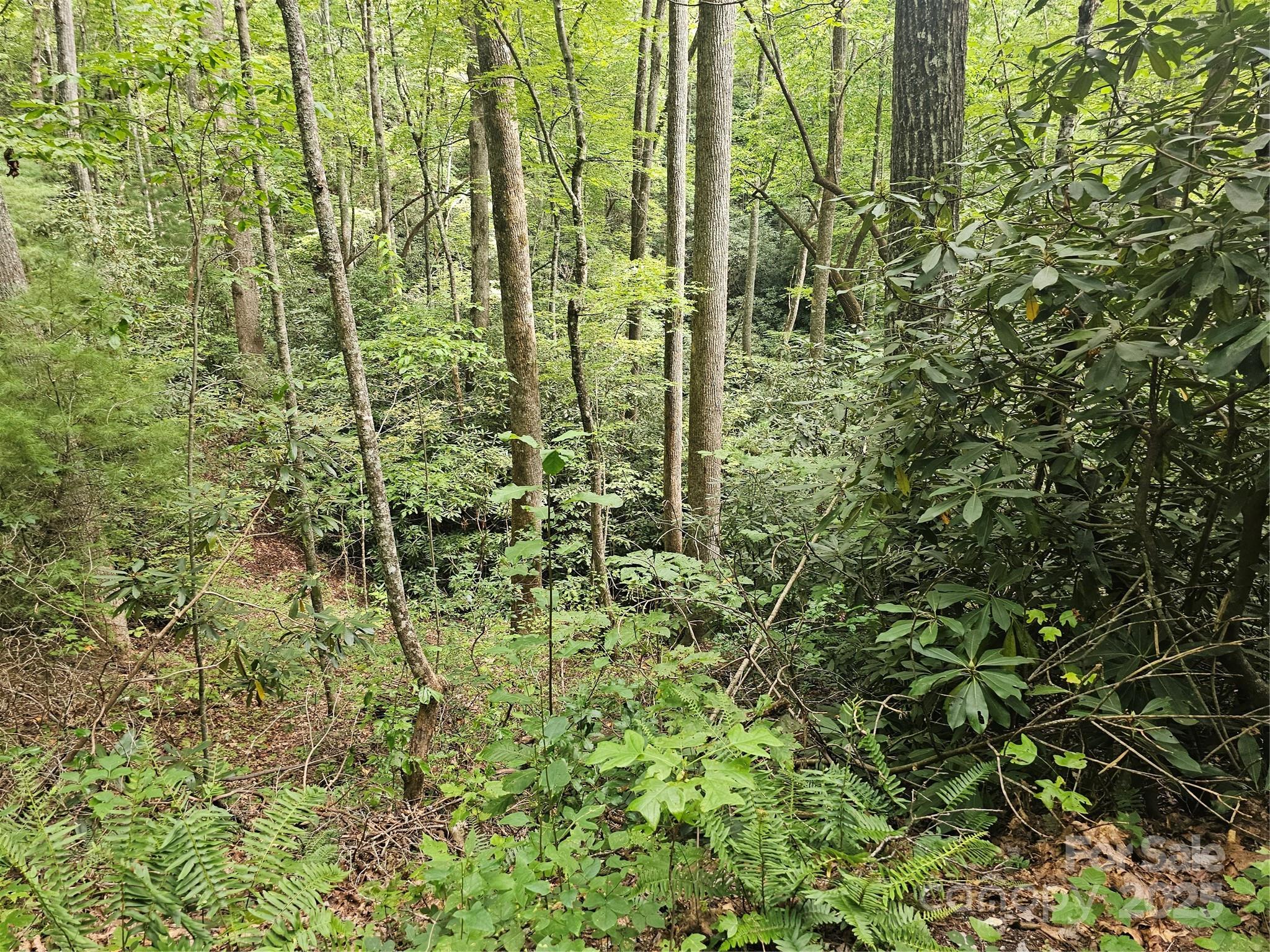 PINNACLE MOUNTAIN VIEW - Land