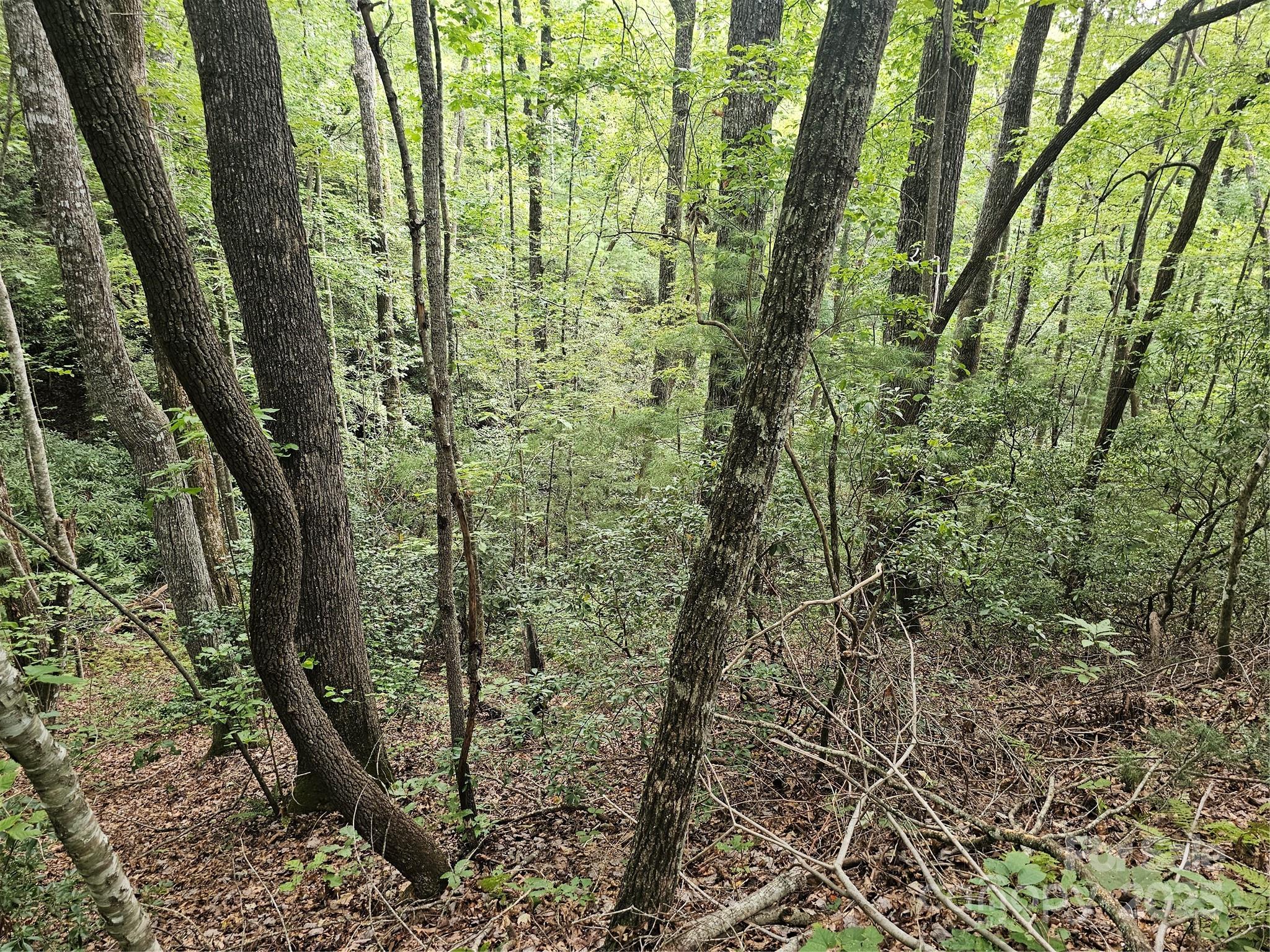 PINNACLE MOUNTAIN VIEW - Land