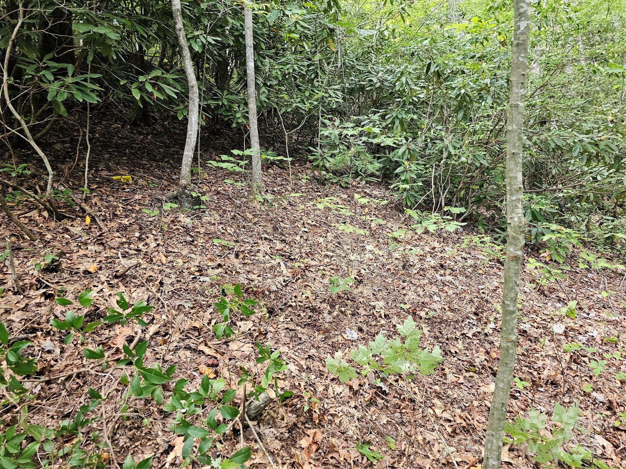 99999 Majestic Trace 25