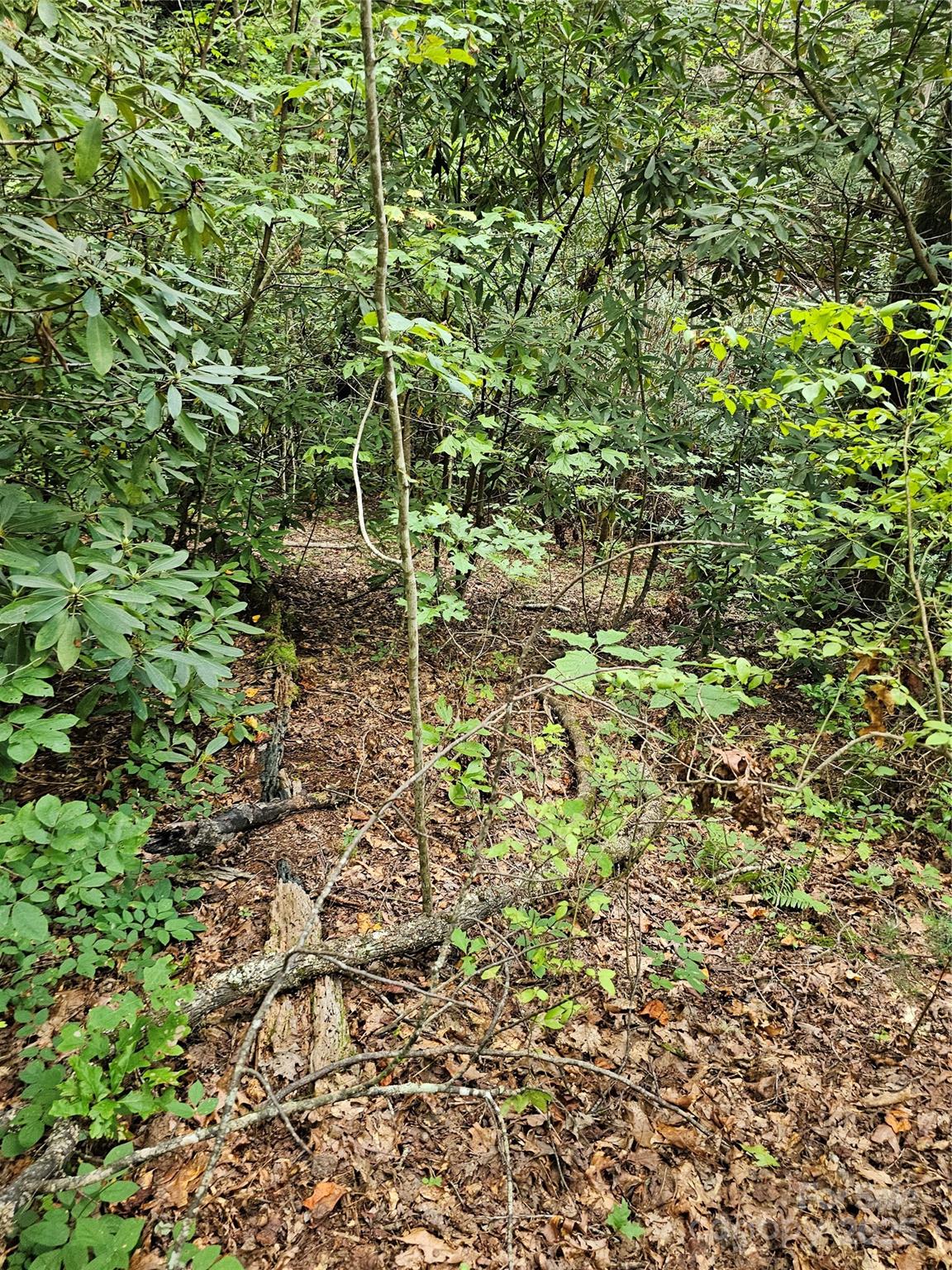 PINNACLE MOUNTAIN VIEW - Land