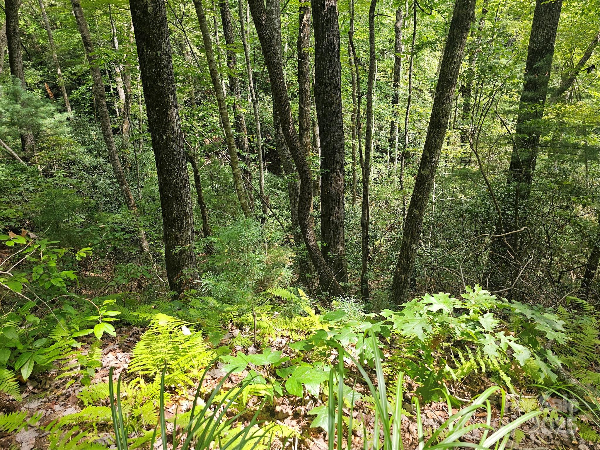PINNACLE MOUNTAIN VIEW - Land