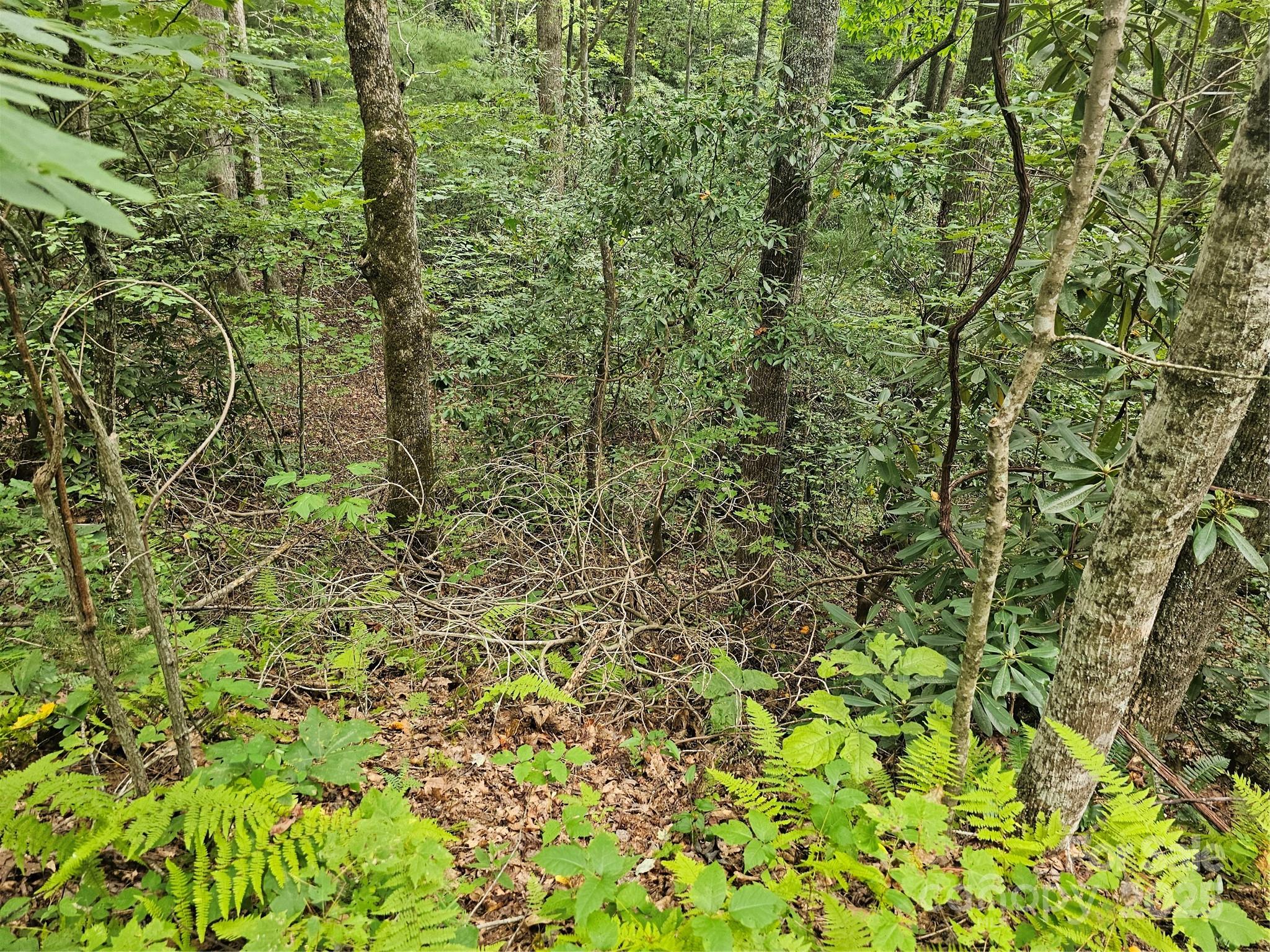 PINNACLE MOUNTAIN VIEW - Land