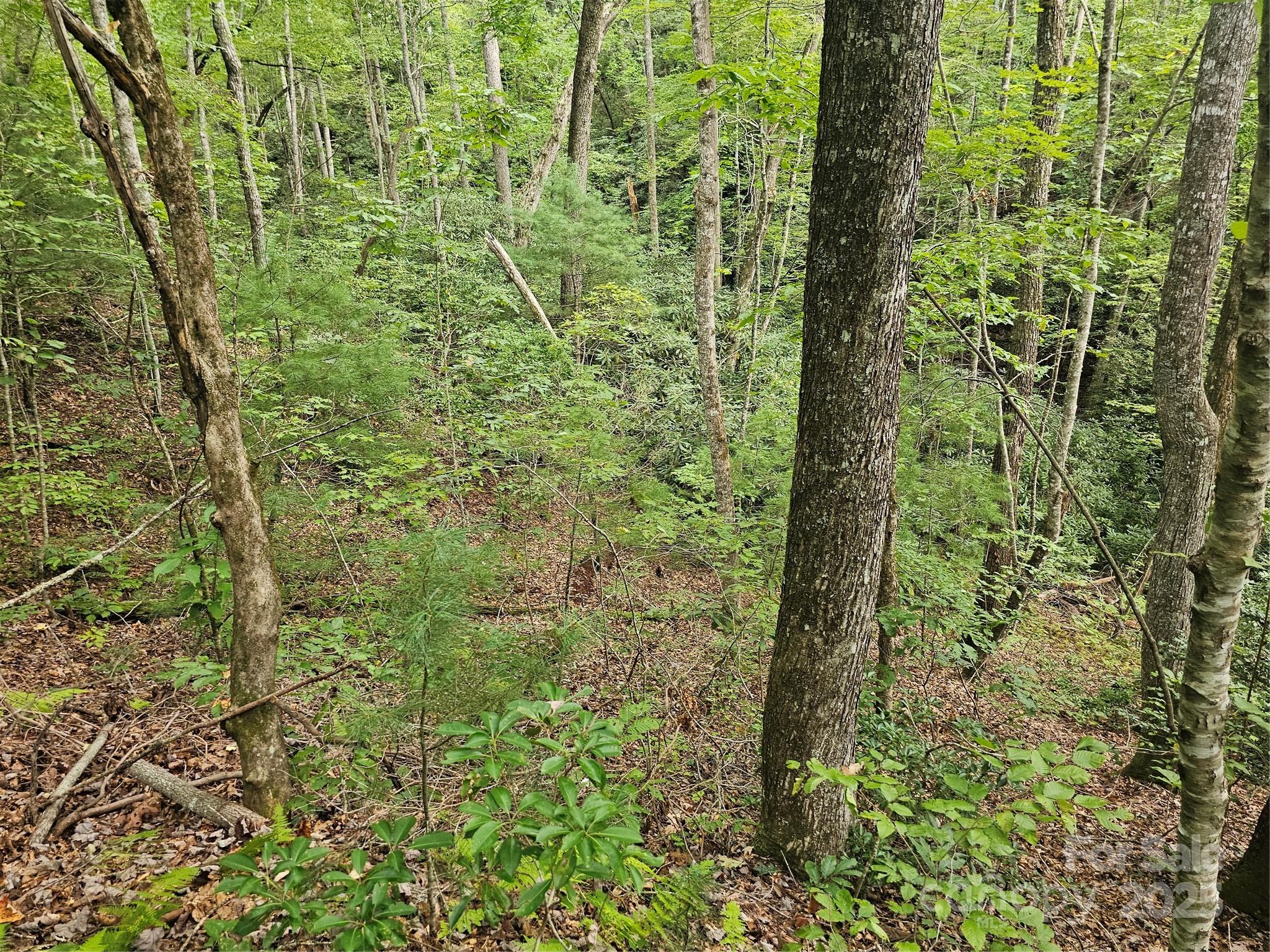PINNACLE MOUNTAIN VIEW - Land