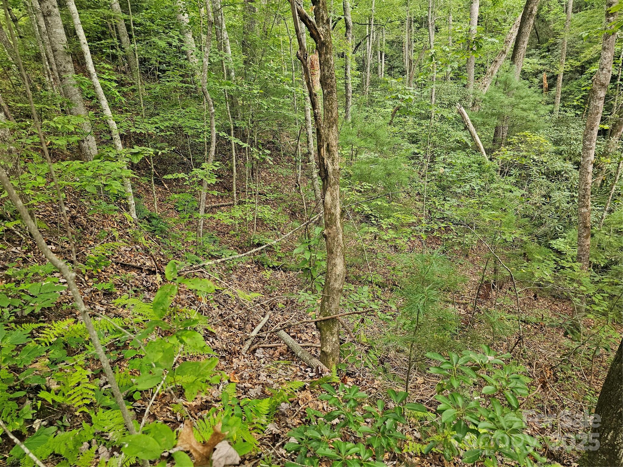 PINNACLE MOUNTAIN VIEW - Land