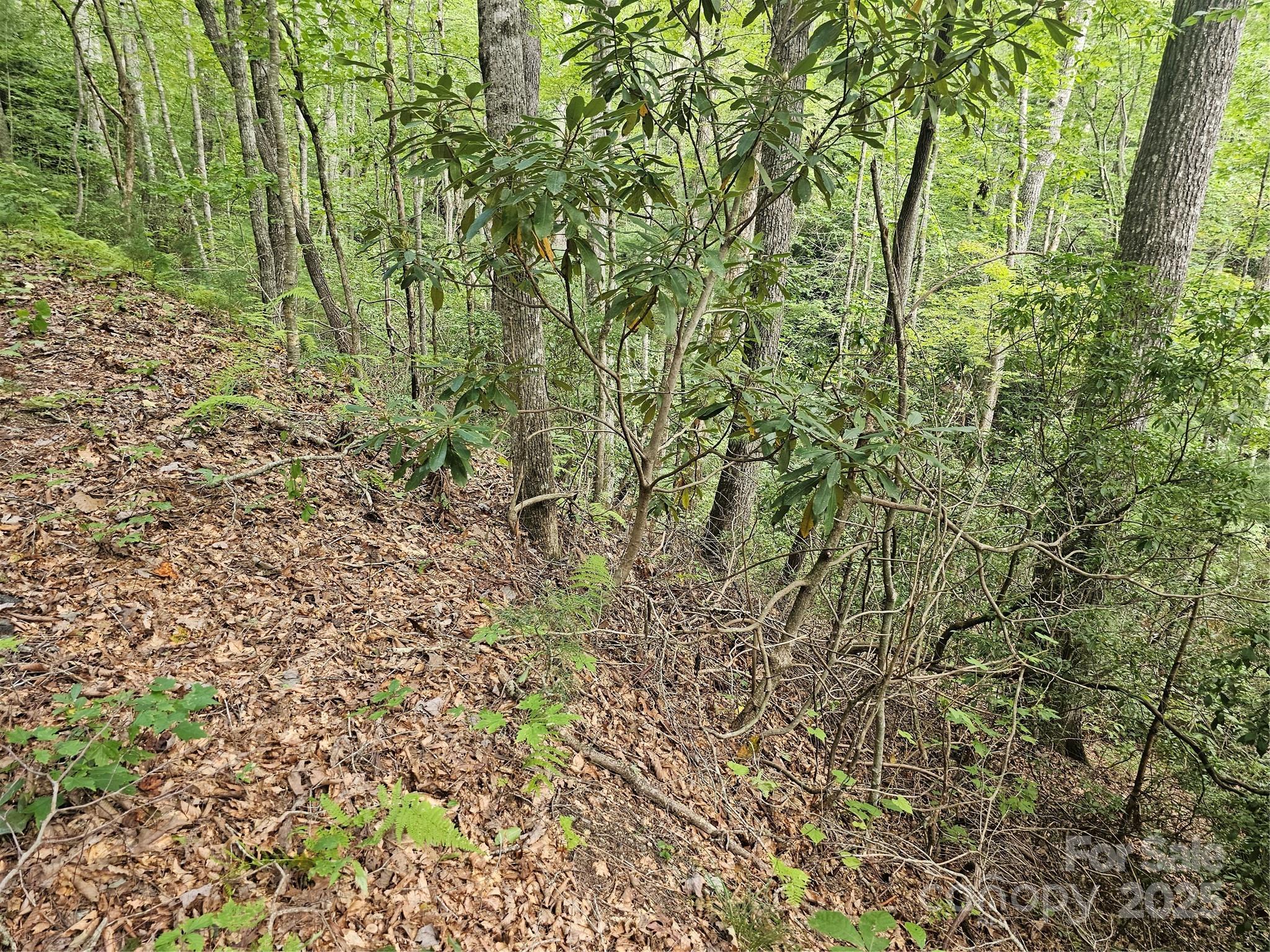 PINNACLE MOUNTAIN VIEW - Land