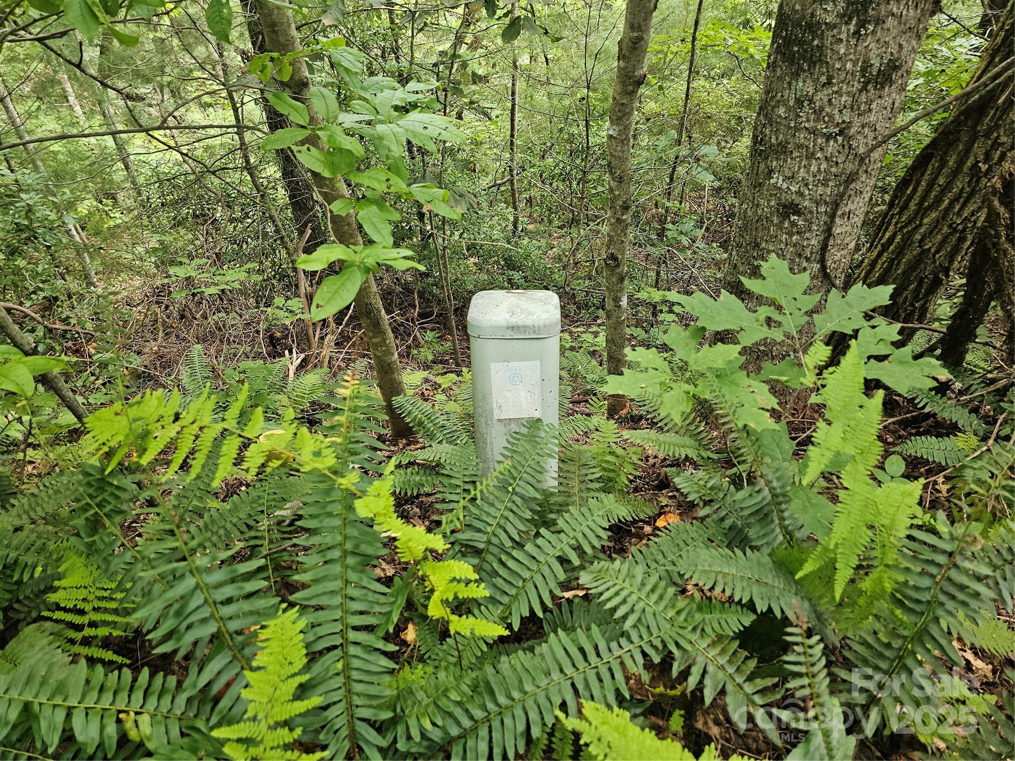 PINNACLE MOUNTAIN VIEW - Land
