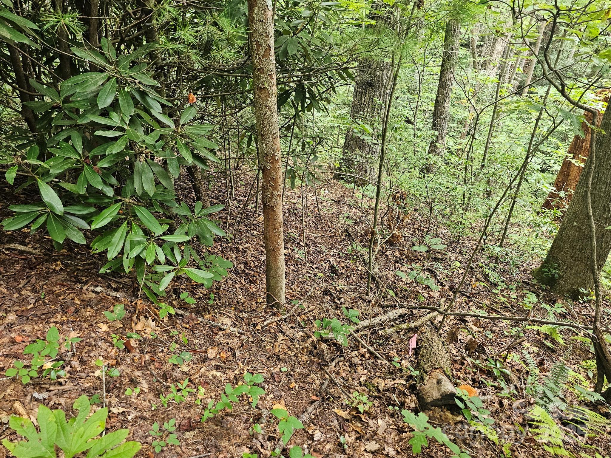 PINNACLE MOUNTAIN VIEW - Land