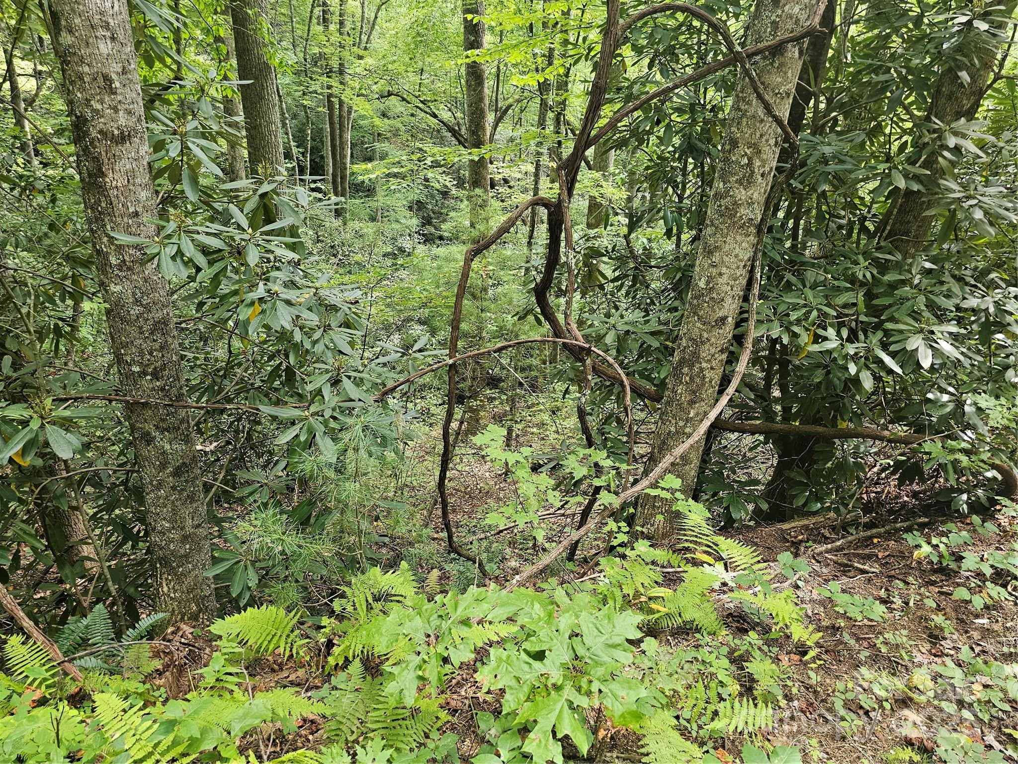 PINNACLE MOUNTAIN VIEW - Land