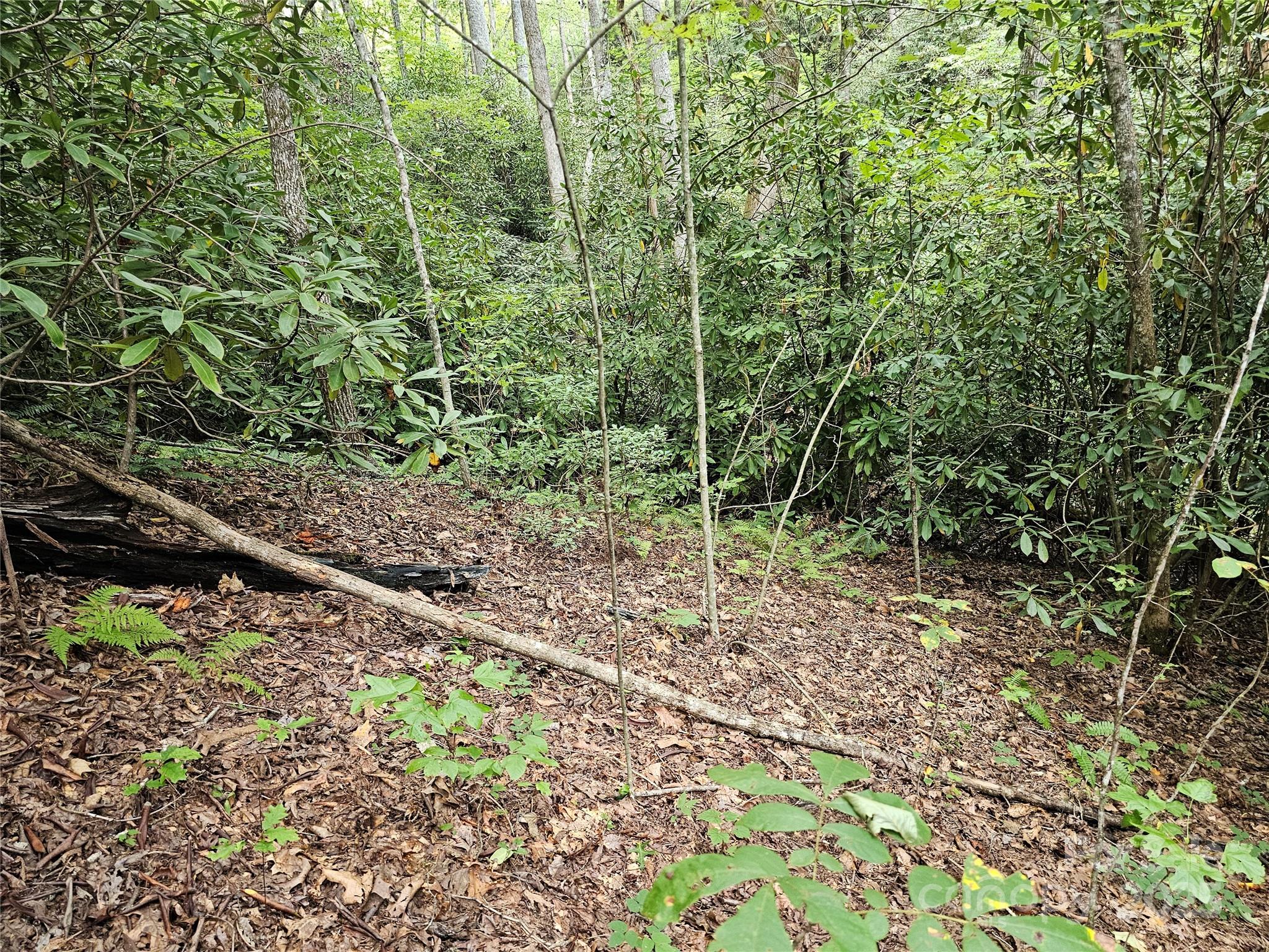 PINNACLE MOUNTAIN VIEW - Land
