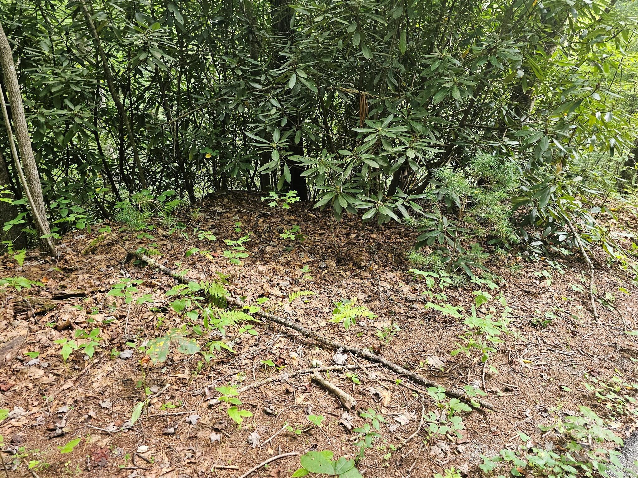 PINNACLE MOUNTAIN VIEW - Land