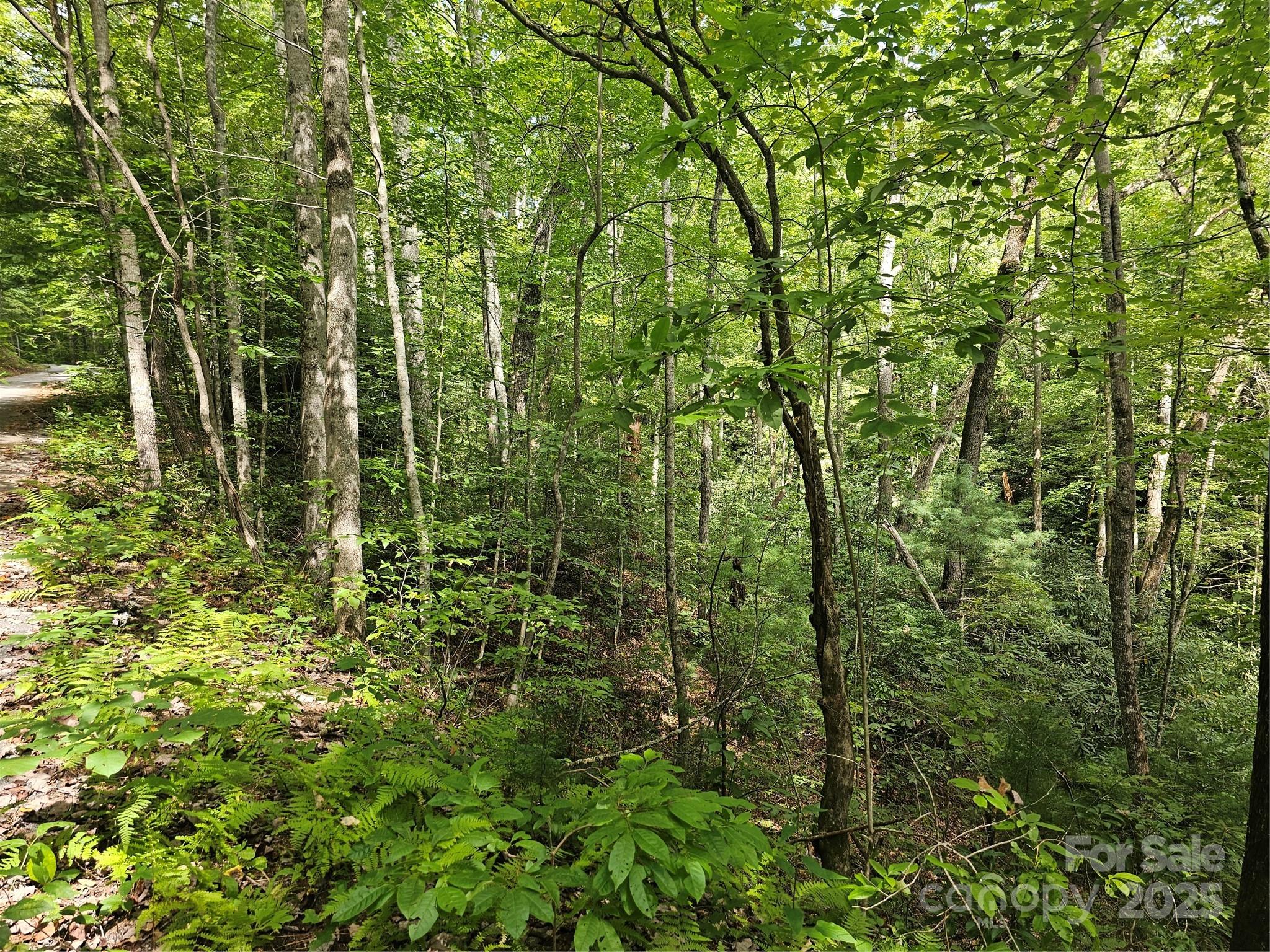 PINNACLE MOUNTAIN VIEW - Land