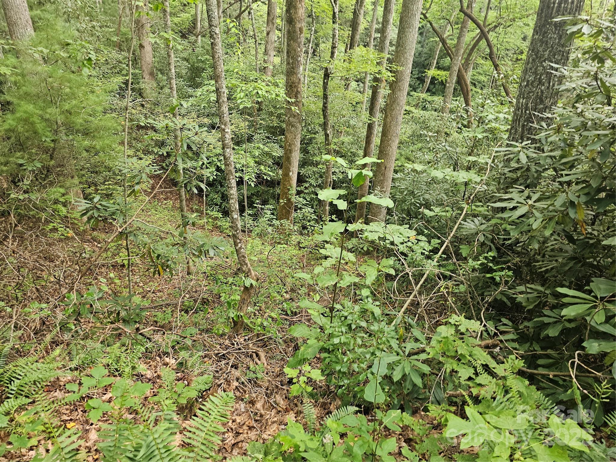 PINNACLE MOUNTAIN VIEW - Land