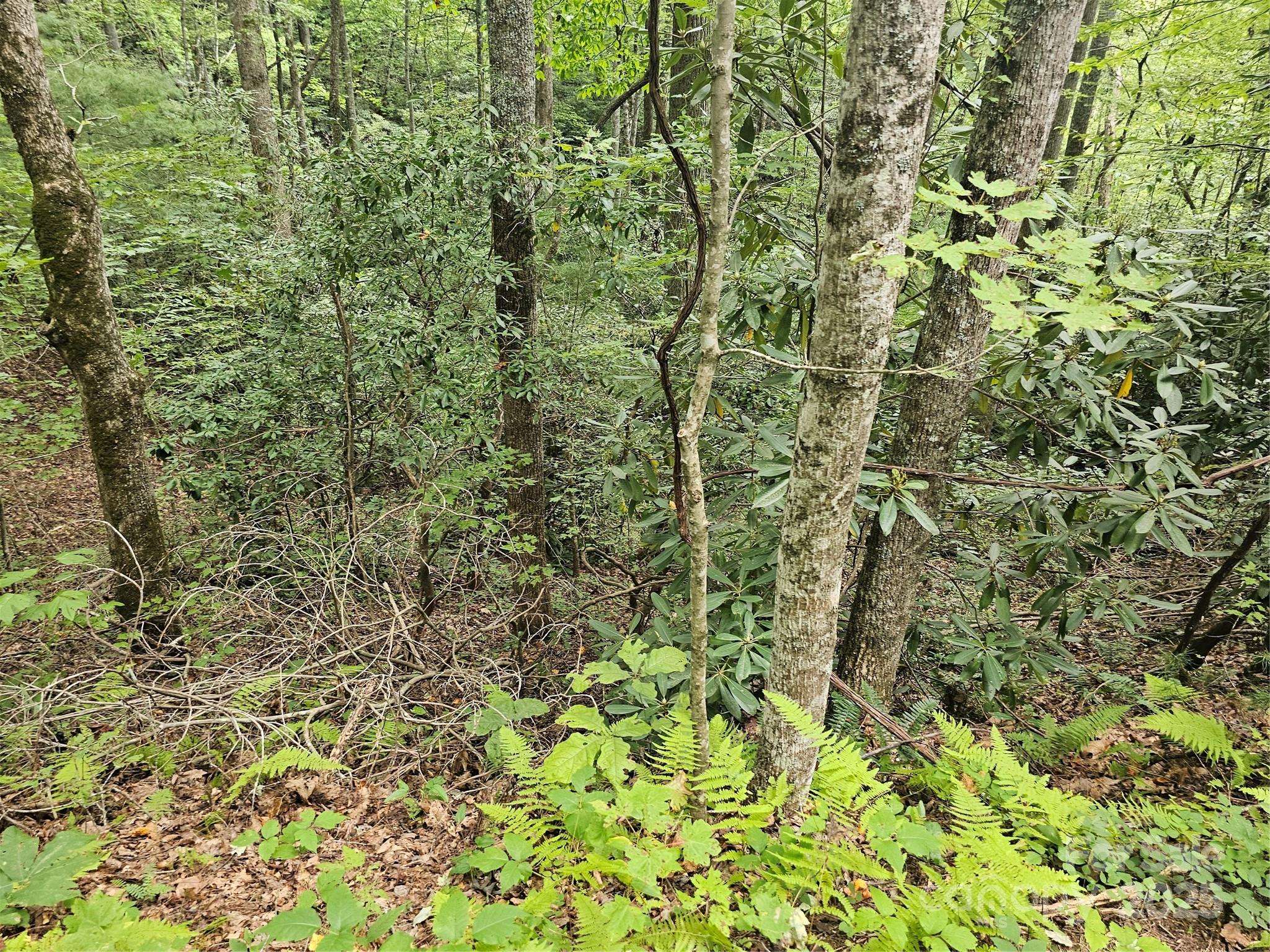 PINNACLE MOUNTAIN VIEW - Land