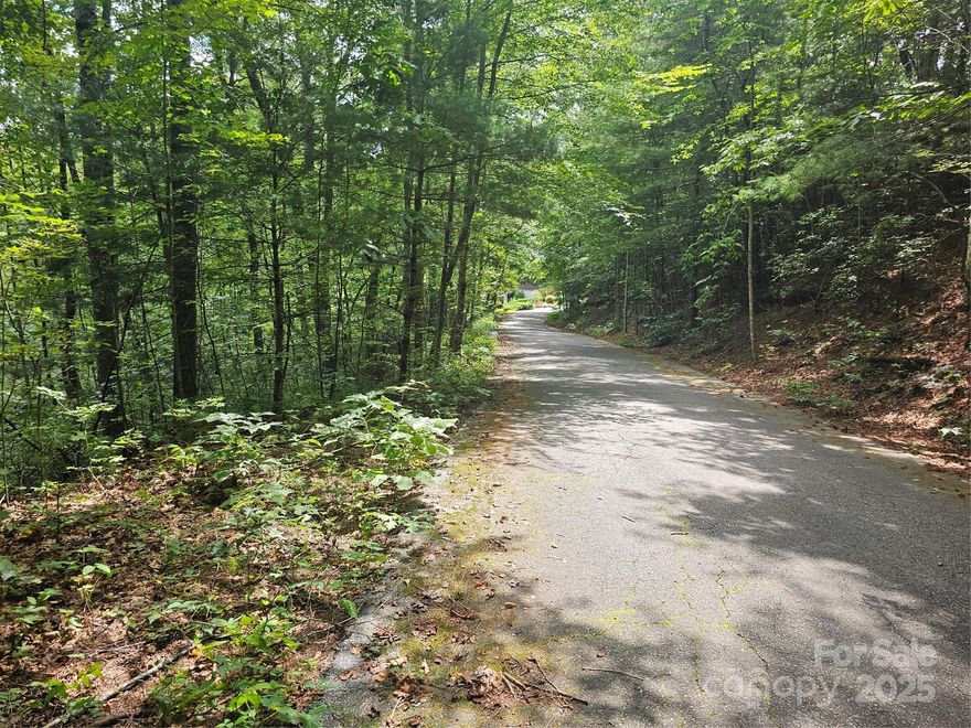 Tucked away in the quiet beauty of Pinnacle Mountain View, this nearly one-acre parcel offers the perfect canvas for your mountain retreat. At 2,468 feet elevation, you’ll find yourself surrounded by towering hardwoods, gentle streams, and the calming hush of nature. Imagine mornings spent on your porch listening to songbirds, afternoons exploring nearby trails, and evenings watching the sun dip behind the ridgelines.

With no city taxes, no HOA fees, a 3 bedroom sceptic test, and minimal restrictions, you’ll enjoy the freedom to create a home that truly reflects your vision—whether a cozy cabin or a modern mountain hideaway (minimum 1,400 sq ft, septic and well needed). Underground utilities, including cable, help preserve the mountain views and add convenience when building your getaway. Publicly maintained paved roads provide easy access, yet the property feels worlds away from the rush of everyday life.

Located just minutes to charming Flat Rock and Hendersonville, you’ll have easy access to dining, shops, and cultural events while still retreating each day to peace and privacy. Outdoor enthusiasts will love being near DuPont and Pisgah Forests, with endless hiking, biking, and waterfalls to explore.

Bring your vision, your boots, and your sense of adventure—this mountain lot is ready to welcome you home.
