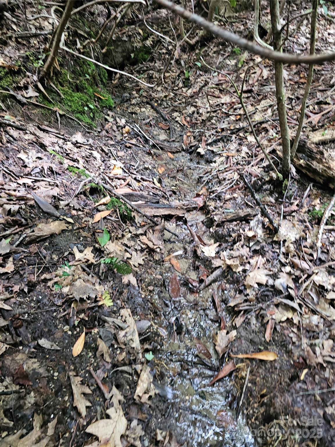 PINNACLE MOUNTAIN VIEW - Land
