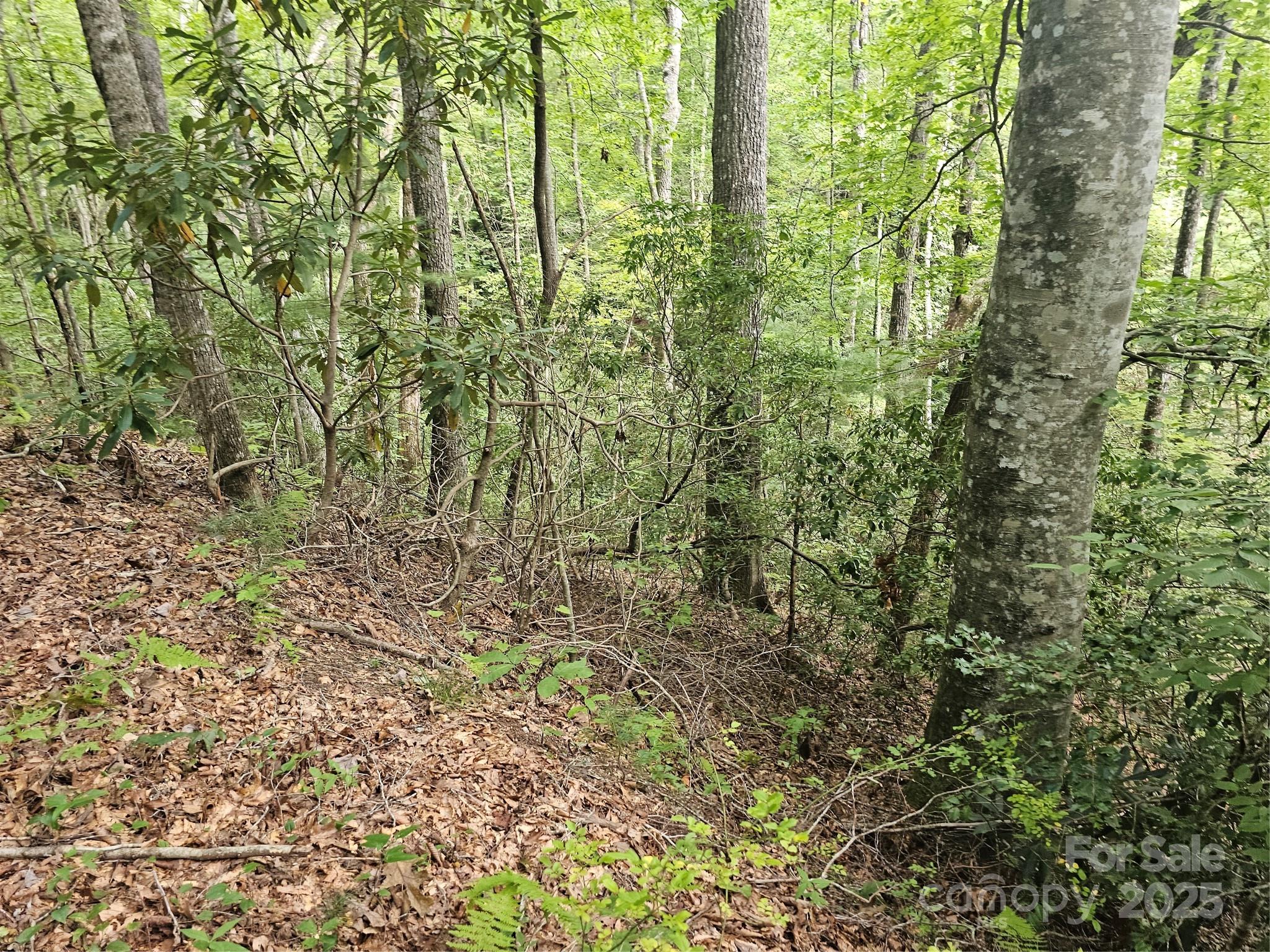 PINNACLE MOUNTAIN VIEW - Land