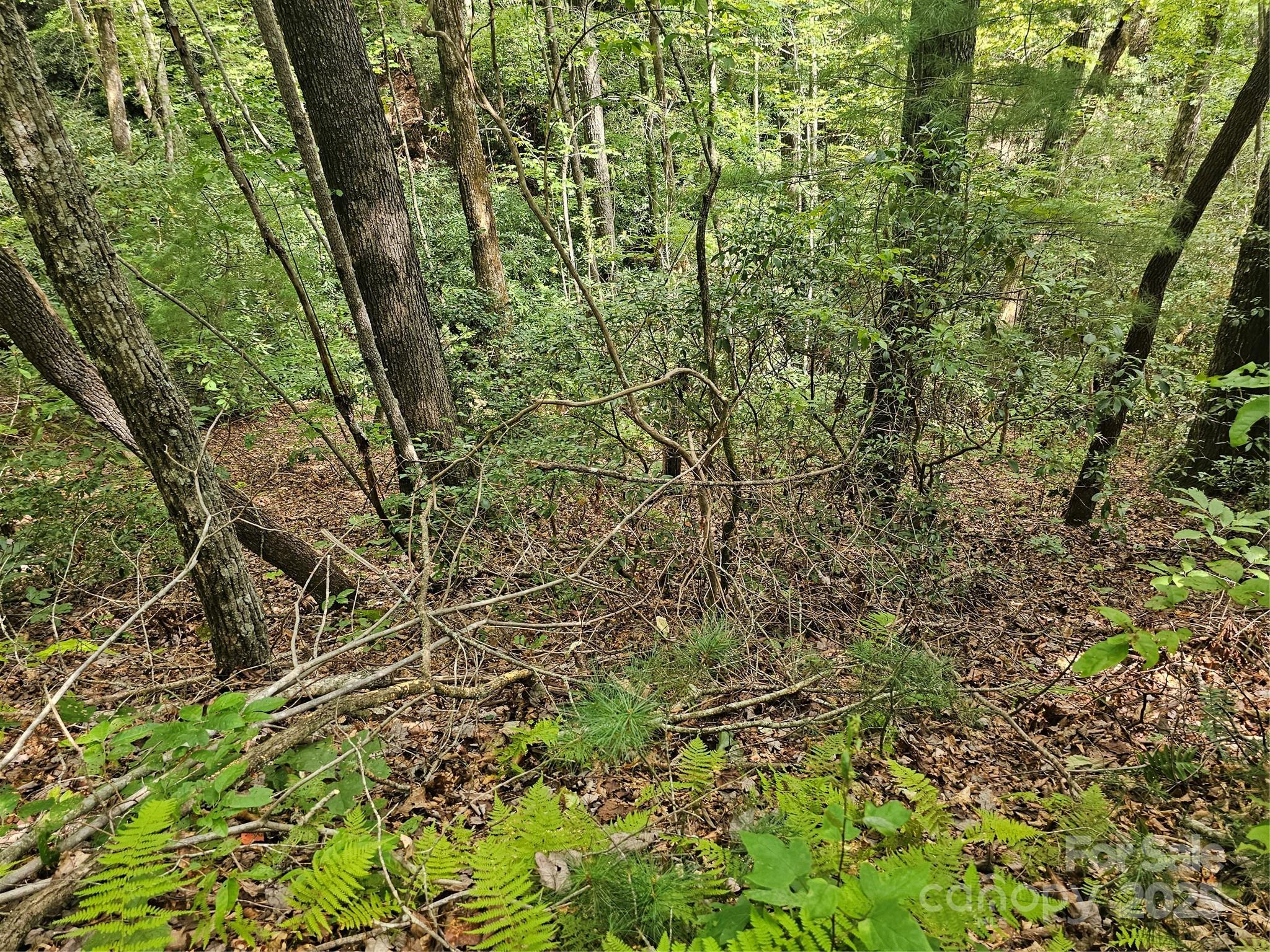 PINNACLE MOUNTAIN VIEW - Land