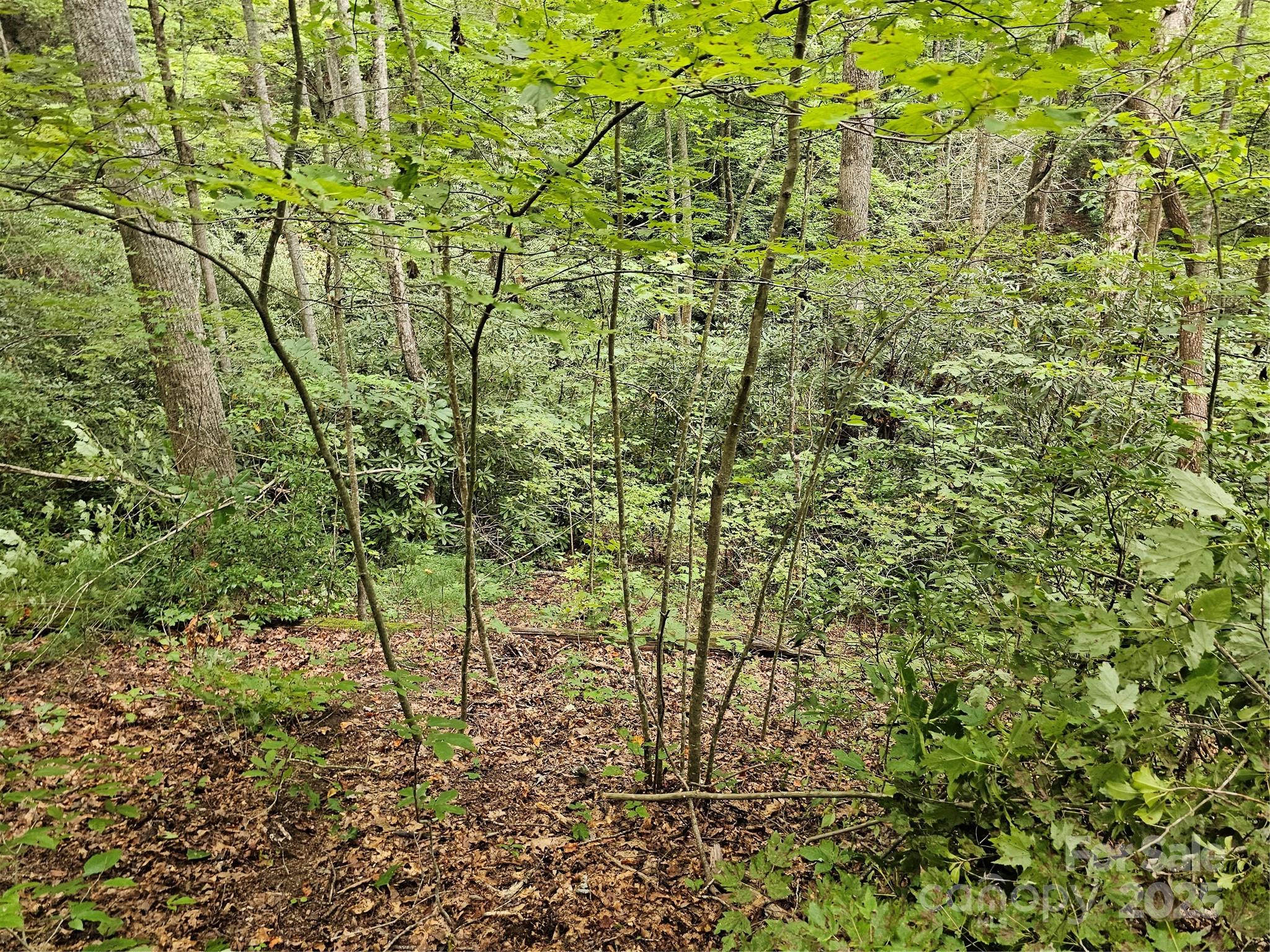 PINNACLE MOUNTAIN VIEW - Land