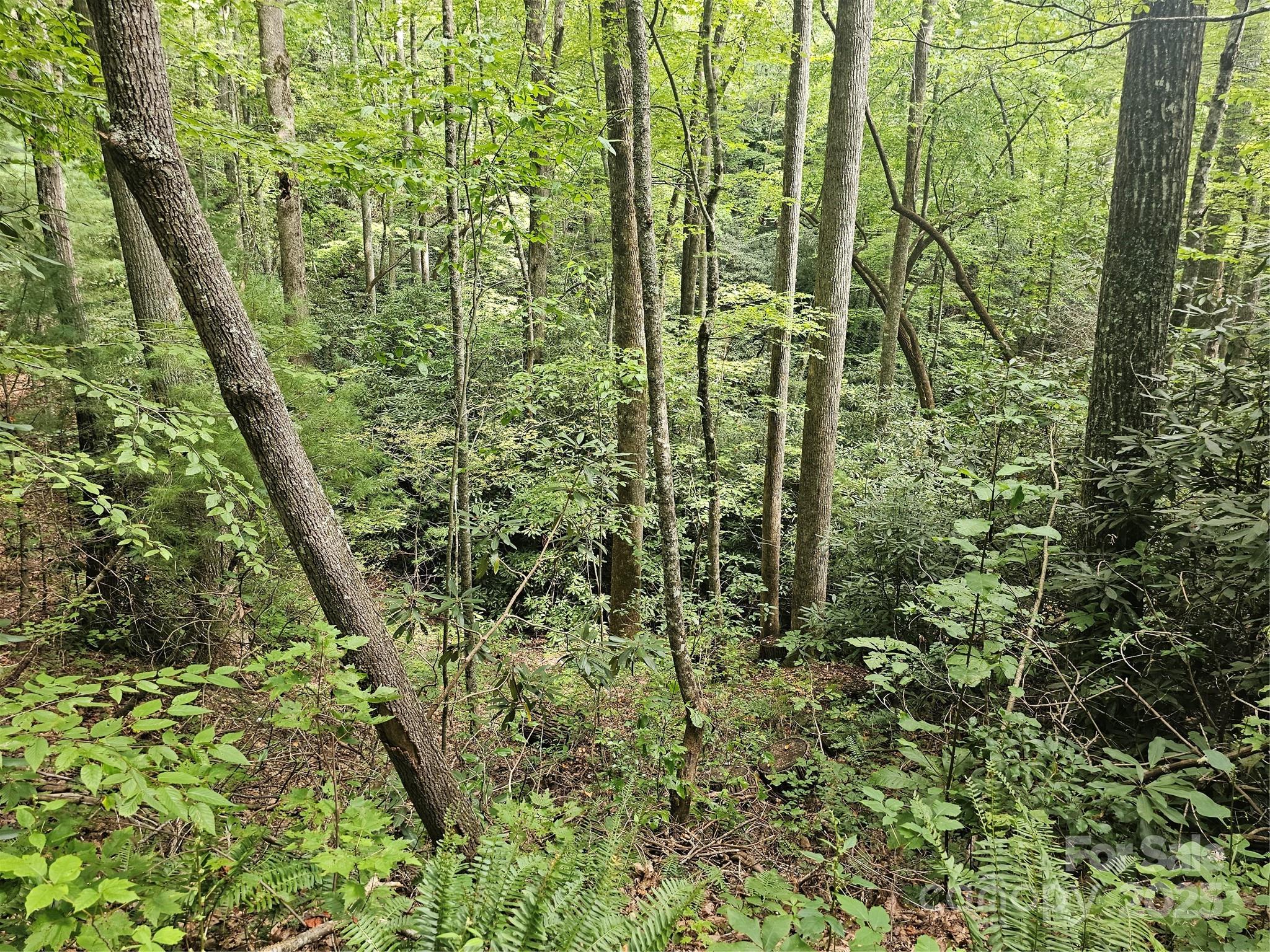 PINNACLE MOUNTAIN VIEW - Land