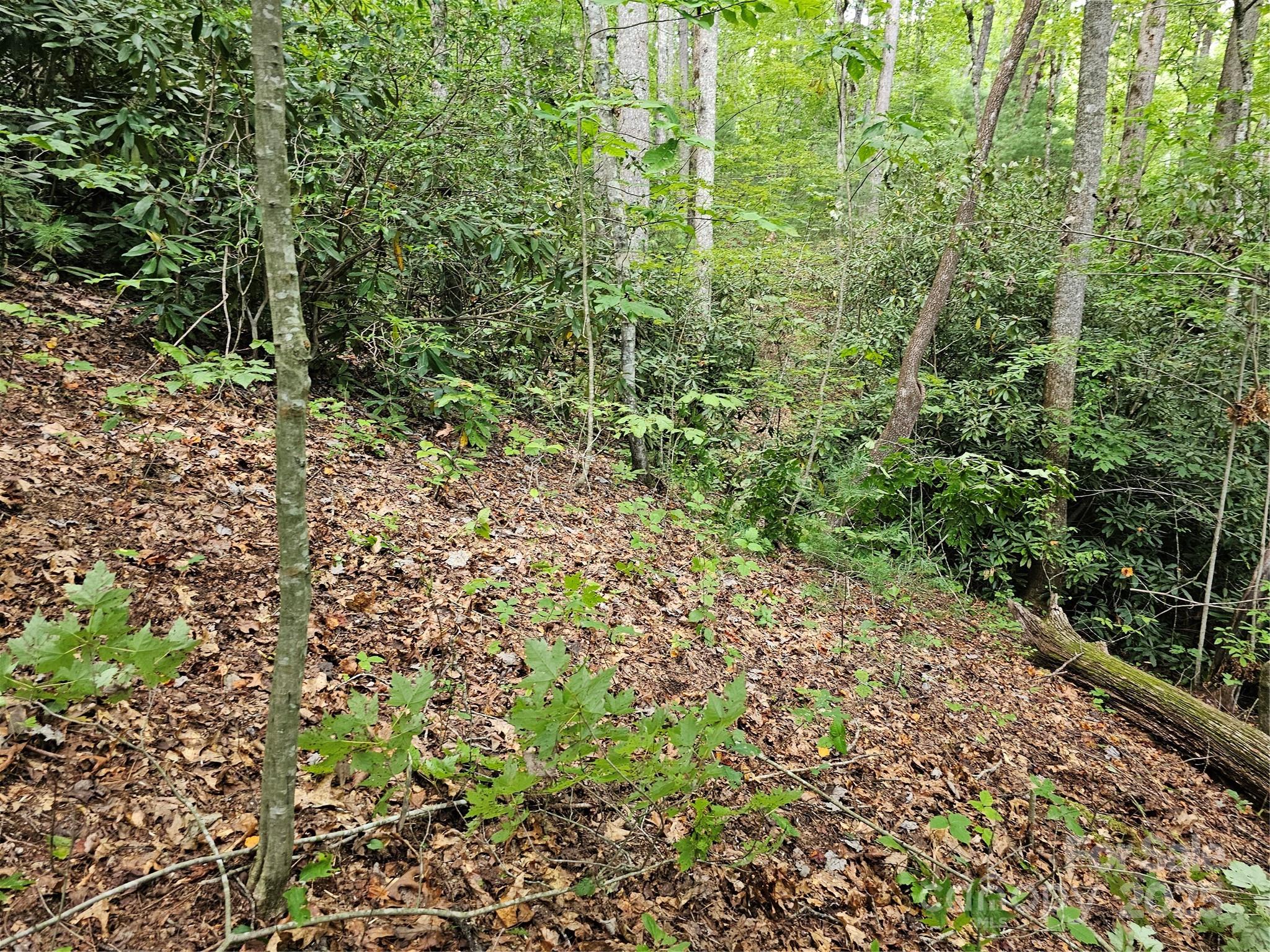 PINNACLE MOUNTAIN VIEW - Land