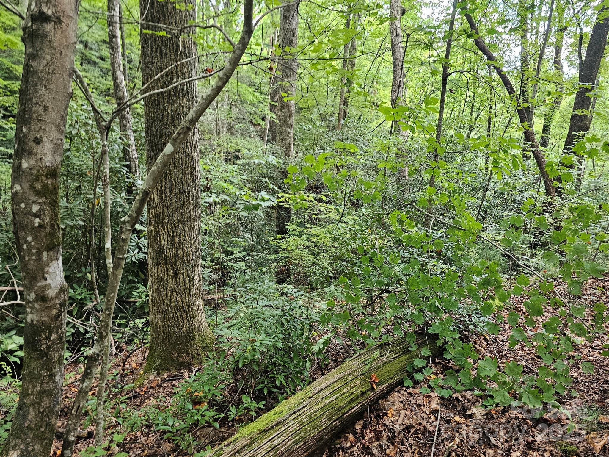 PINNACLE MOUNTAIN VIEW - Land