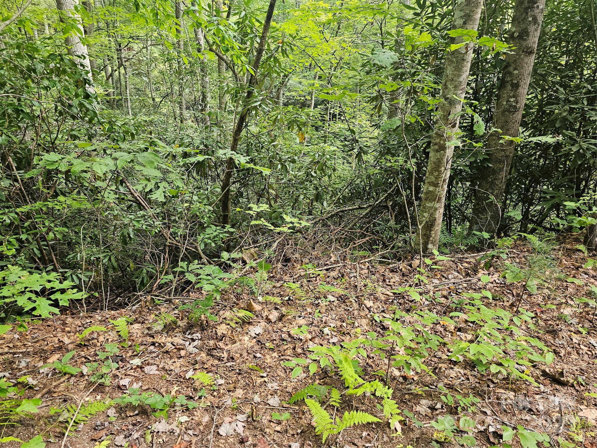 PINNACLE MOUNTAIN VIEW - Land