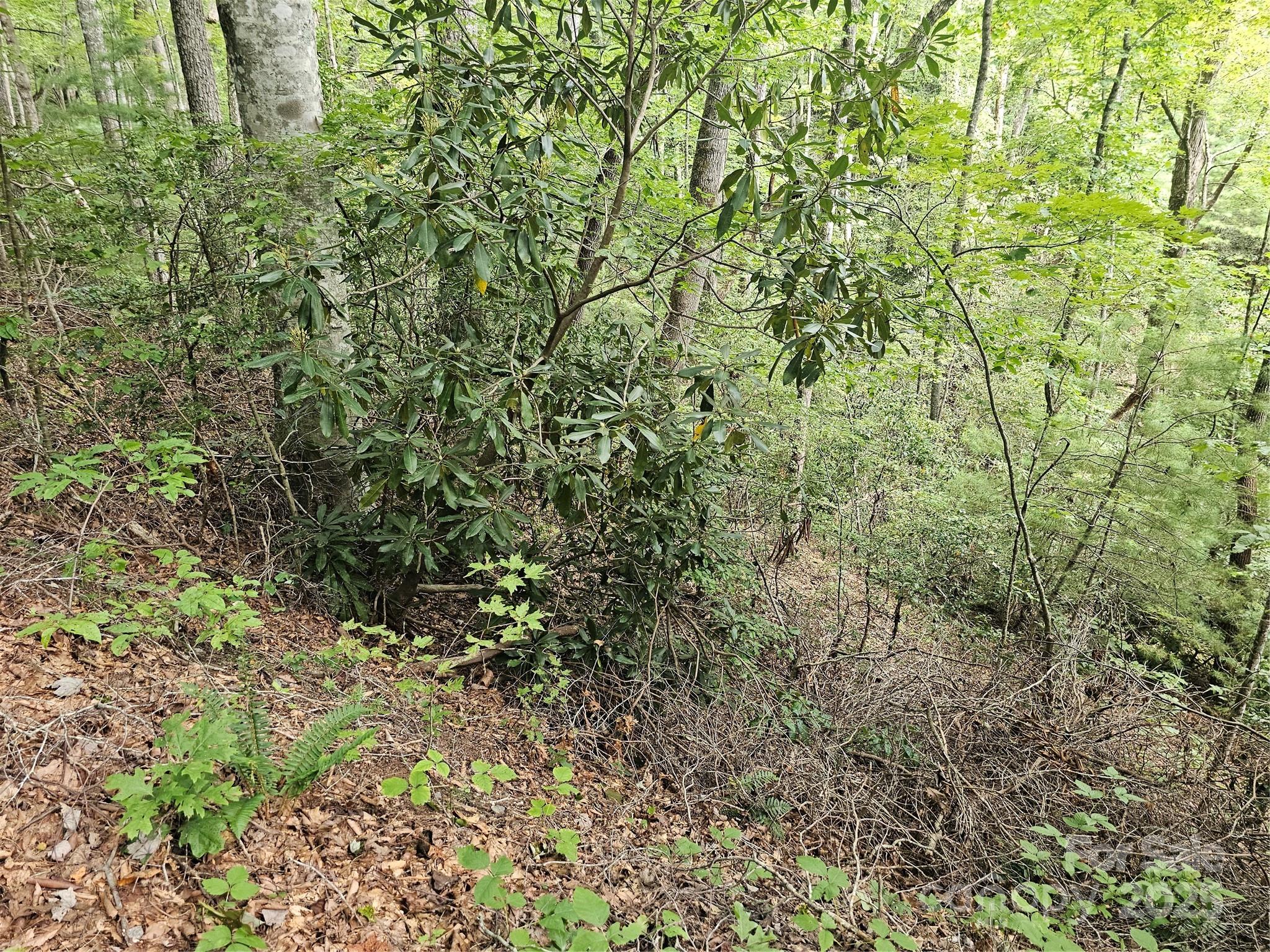 PINNACLE MOUNTAIN VIEW - Land