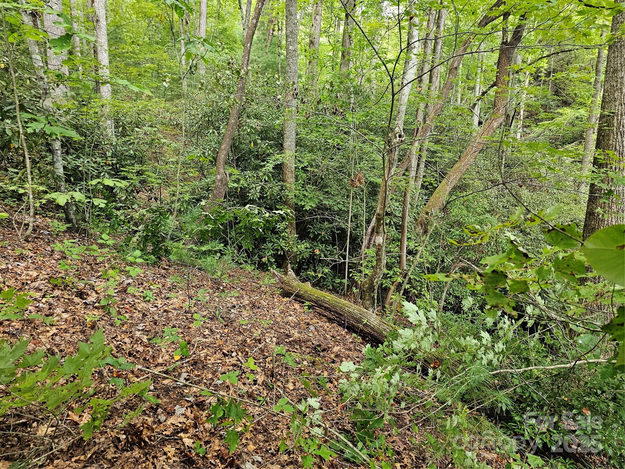 PINNACLE MOUNTAIN VIEW - Land