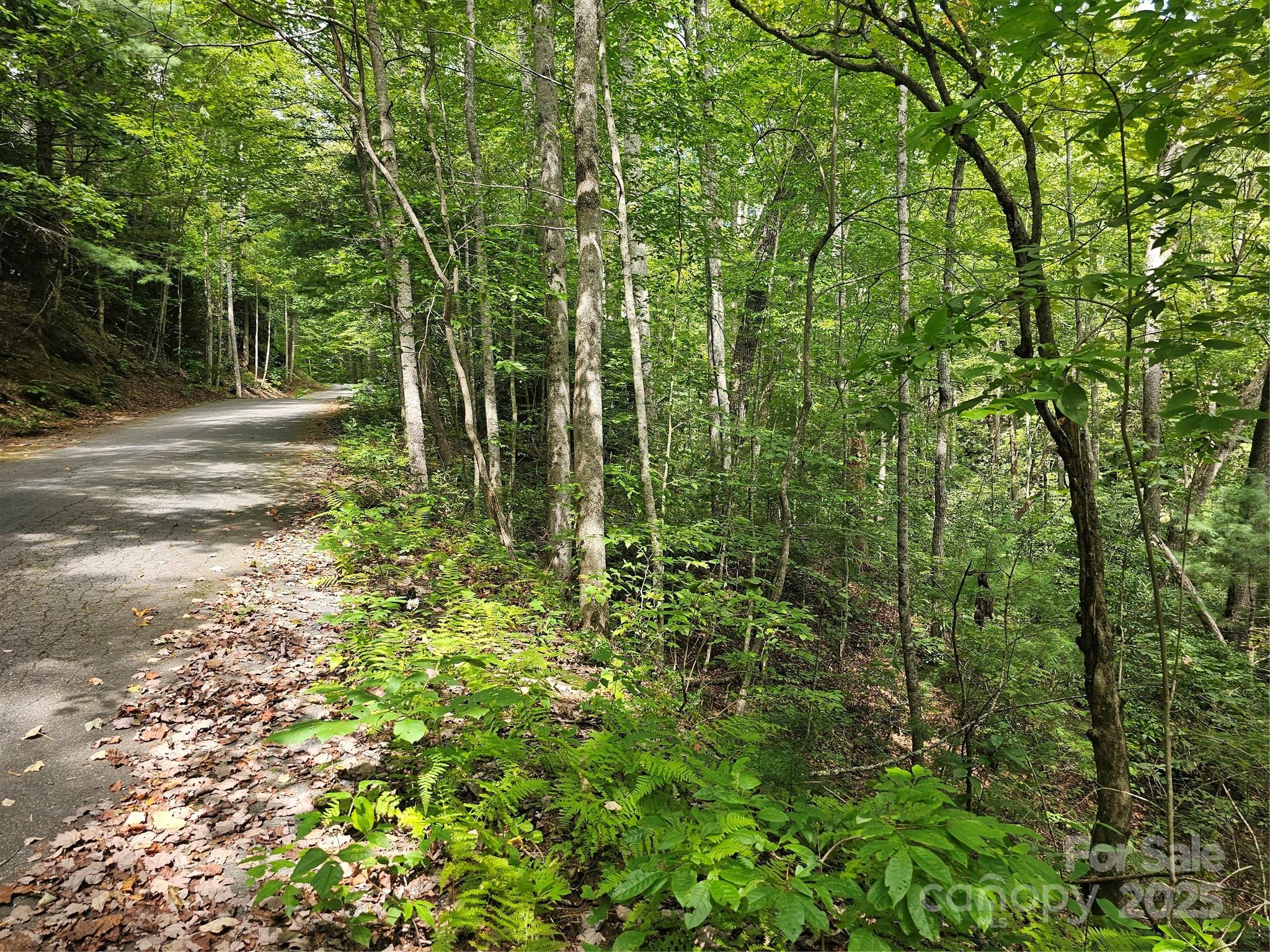 PINNACLE MOUNTAIN VIEW - Land