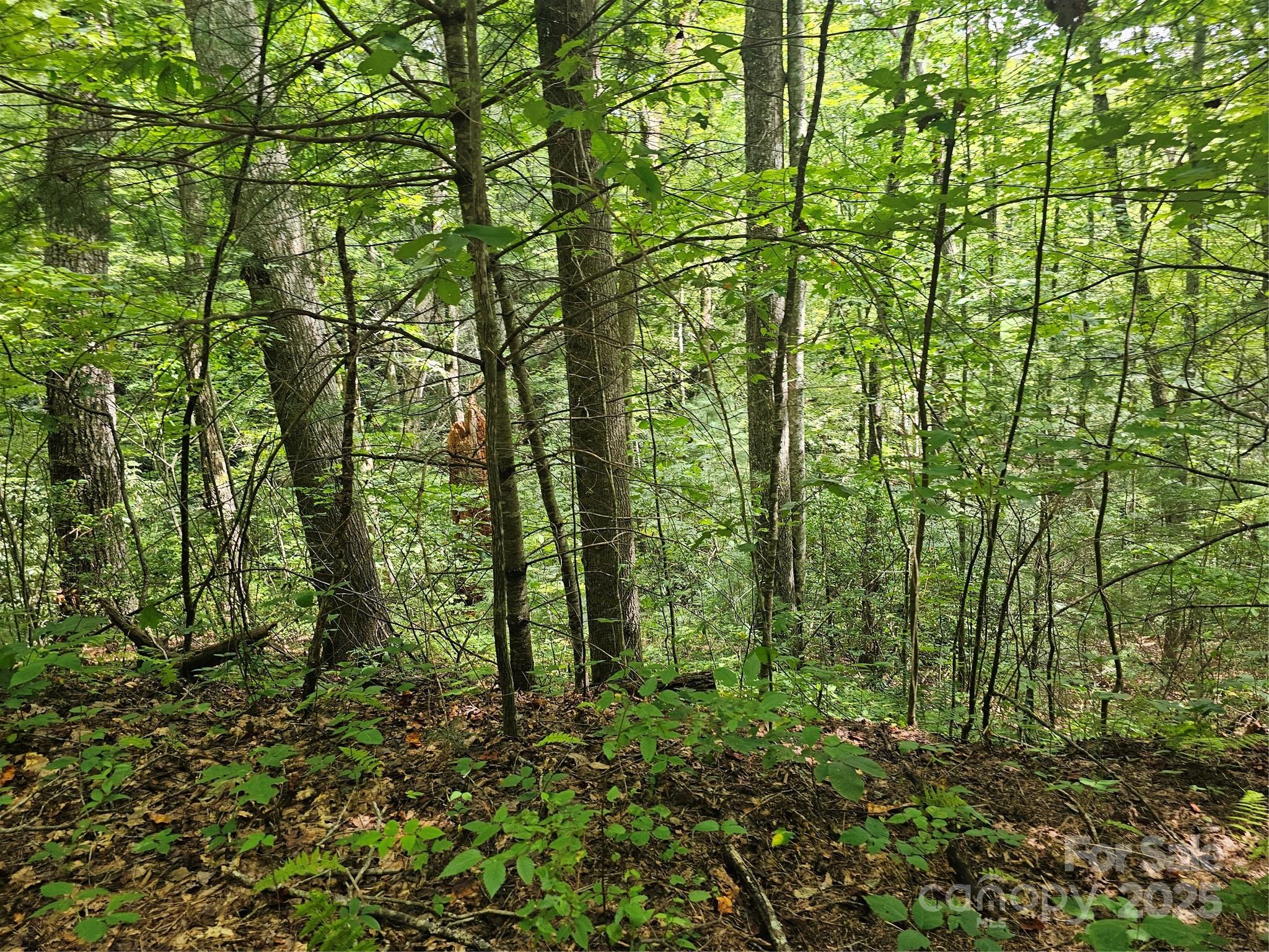 PINNACLE MOUNTAIN VIEW - Land