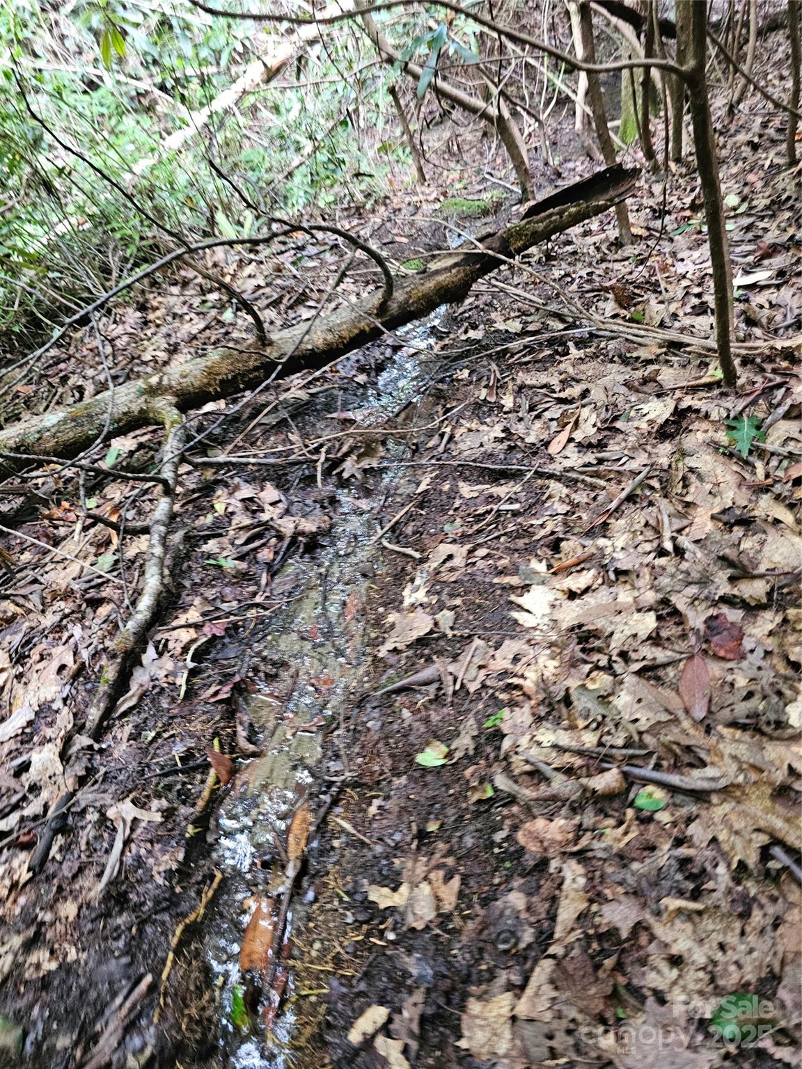 PINNACLE MOUNTAIN VIEW - Land