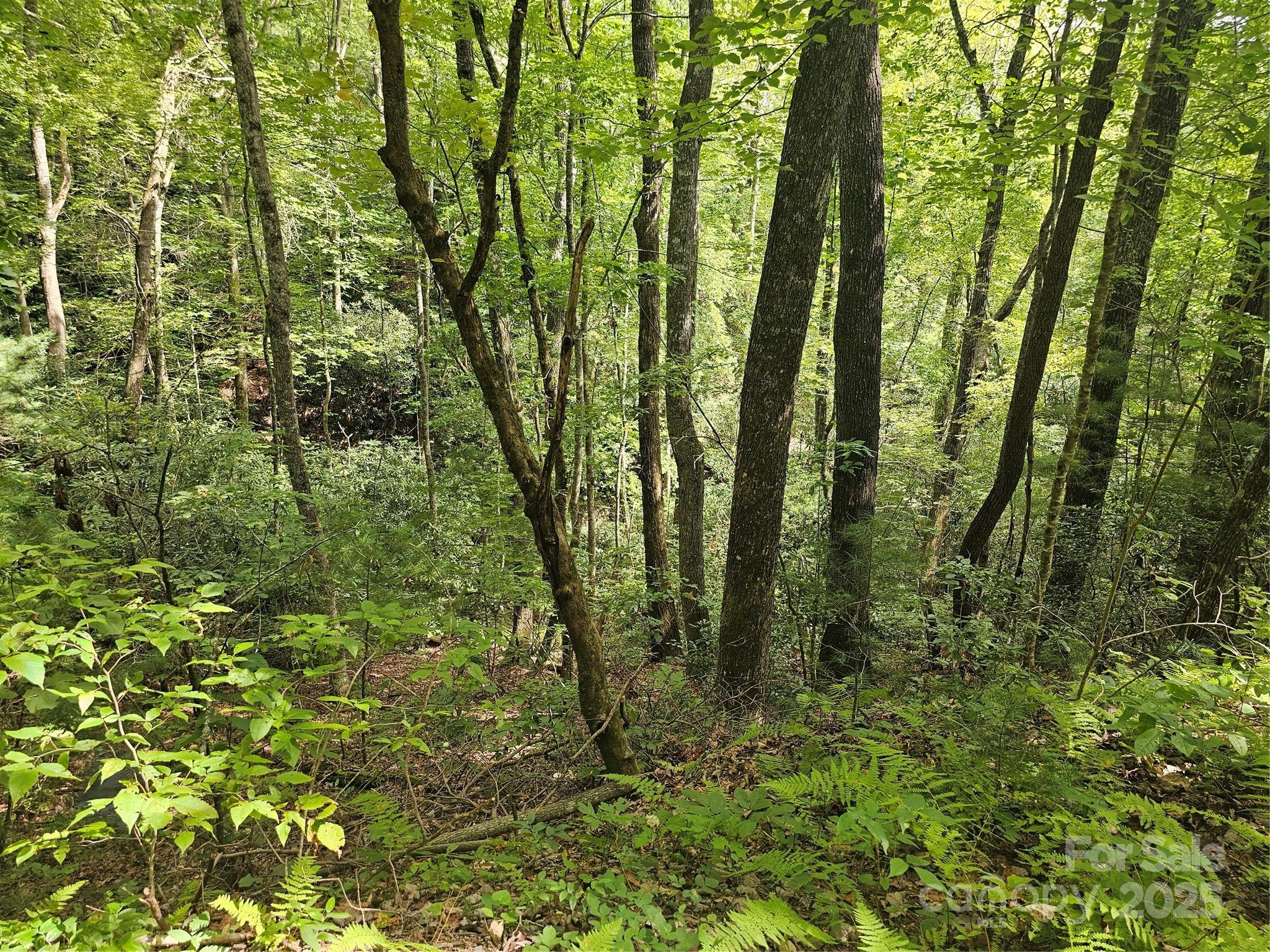 PINNACLE MOUNTAIN VIEW - Land