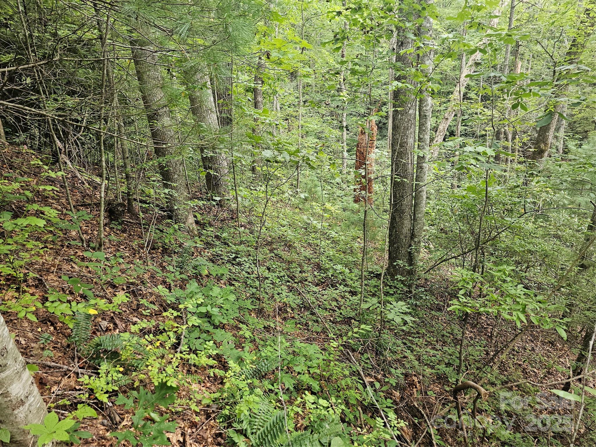 PINNACLE MOUNTAIN VIEW - Land
