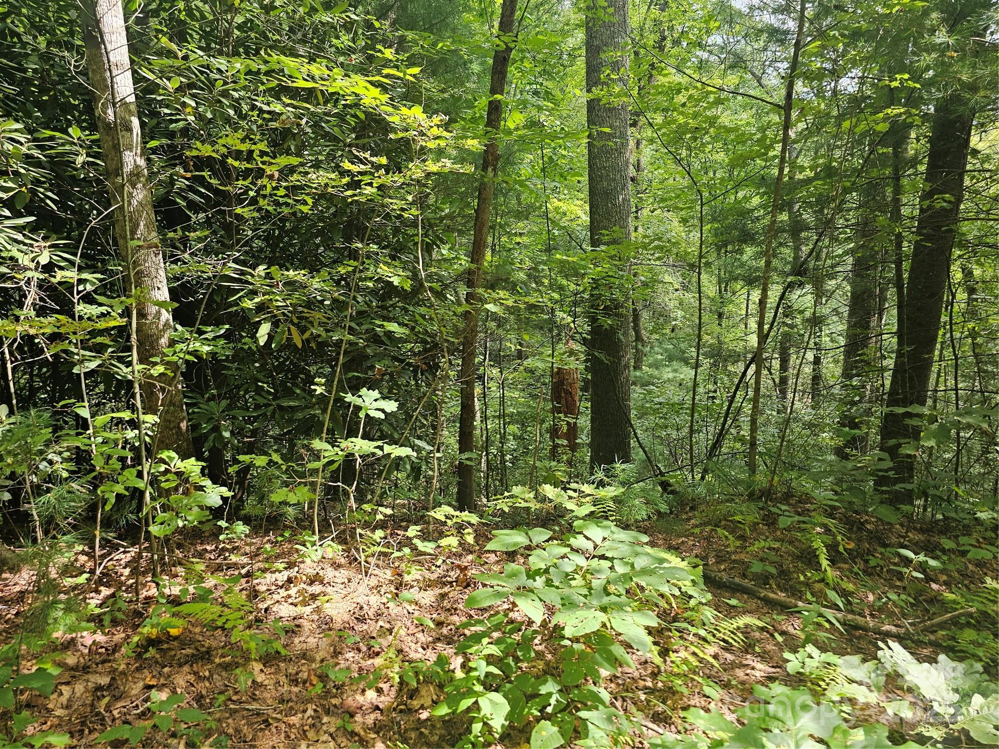 PINNACLE MOUNTAIN VIEW - Land