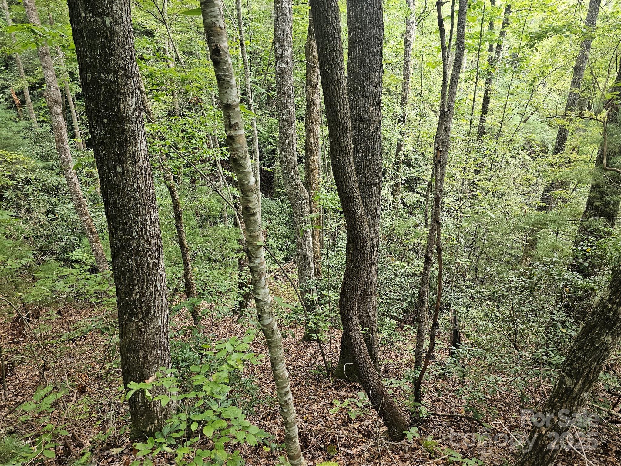 PINNACLE MOUNTAIN VIEW - Land