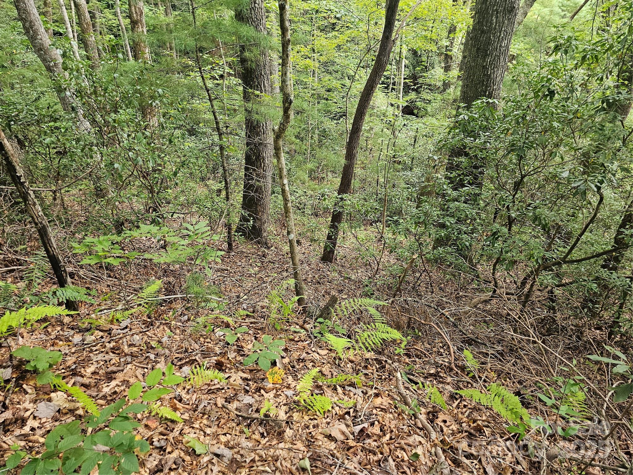 PINNACLE MOUNTAIN VIEW - Land