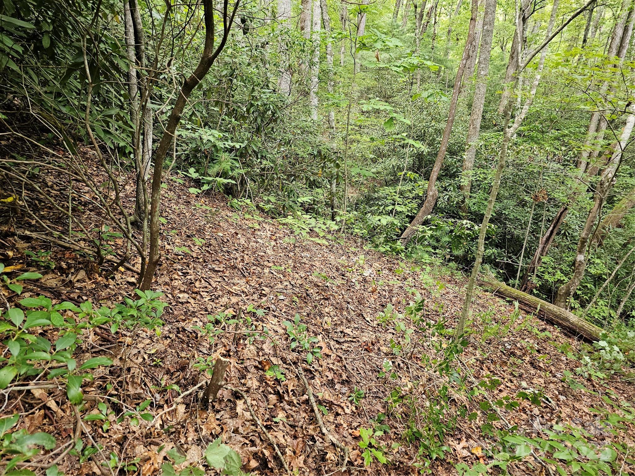 99999 Majestic Trace 25