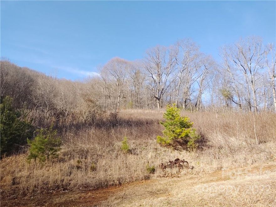 Build one home or six homes. It's possible with this 10.16 +/- acres  Great views across the valley from the bottom of the lot all the way to the top of the ridge. The land is located in the Turkey Creek community in Leicester, 25 minutes to downtown Asheville. Build your dream home here in the mountains with lots of privacy, or if you're a developer looking for that small development, this property has a survey showing six lots. Enjoy quiet privacy. Well, you may have to share with the local wildlife. An AWD vehicle is highly recommended for touring the property, or the better way is to see the property is to put on those hiking boots and enjoy the hike. You can Utilize the established roadbeds that give access across the property. The gravel farm road to the property is rather gentle. No deeded restrictions recorded.  Note: The property is accessed by a deeded right-of-way across the adjoining properties. You may find a printed aerial map and plat useful.