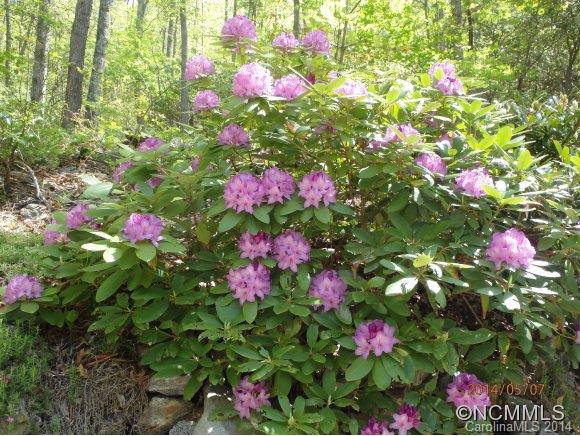 Jays Mountain - Residential