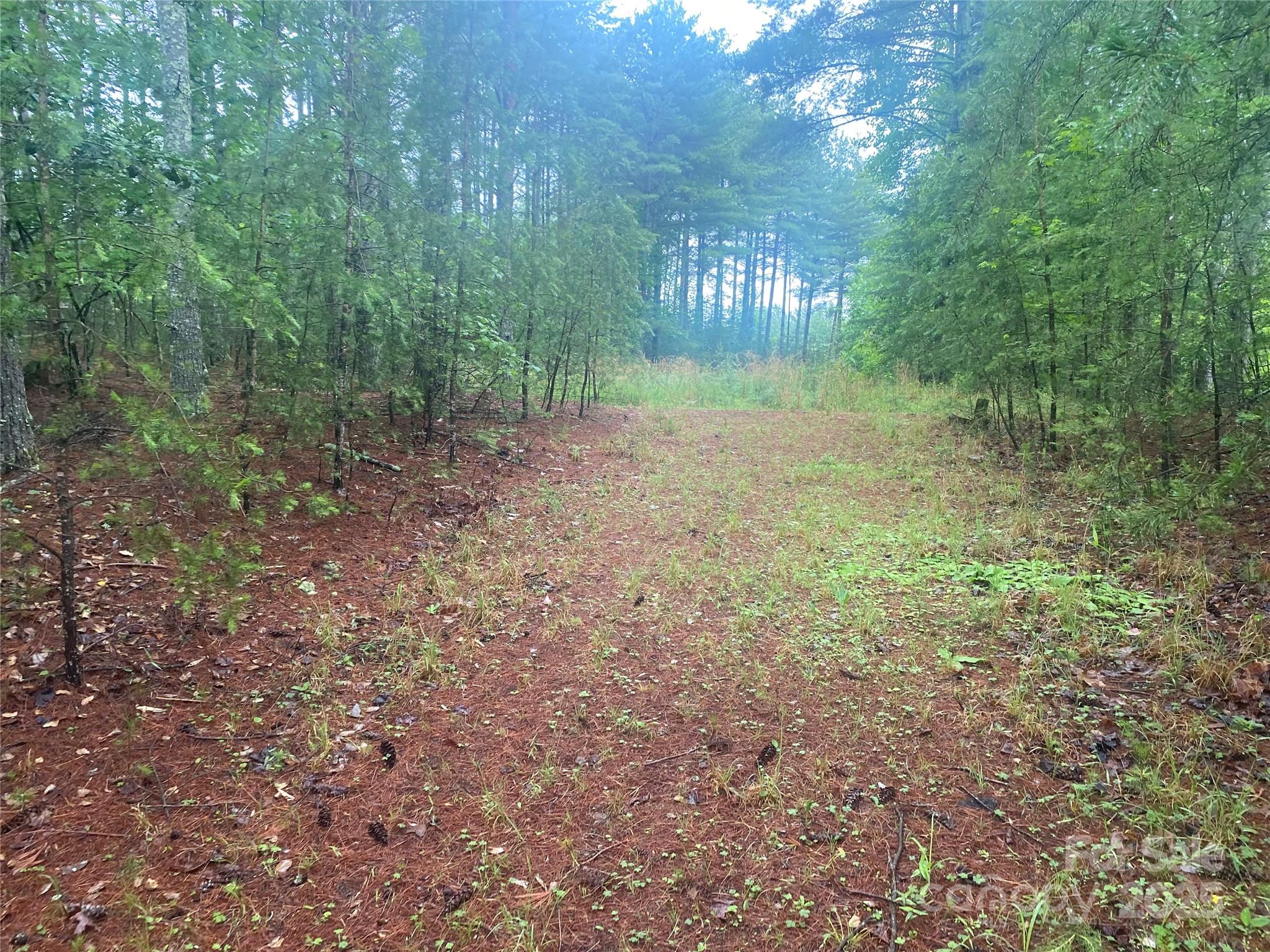 Old Wildlife Club - Land