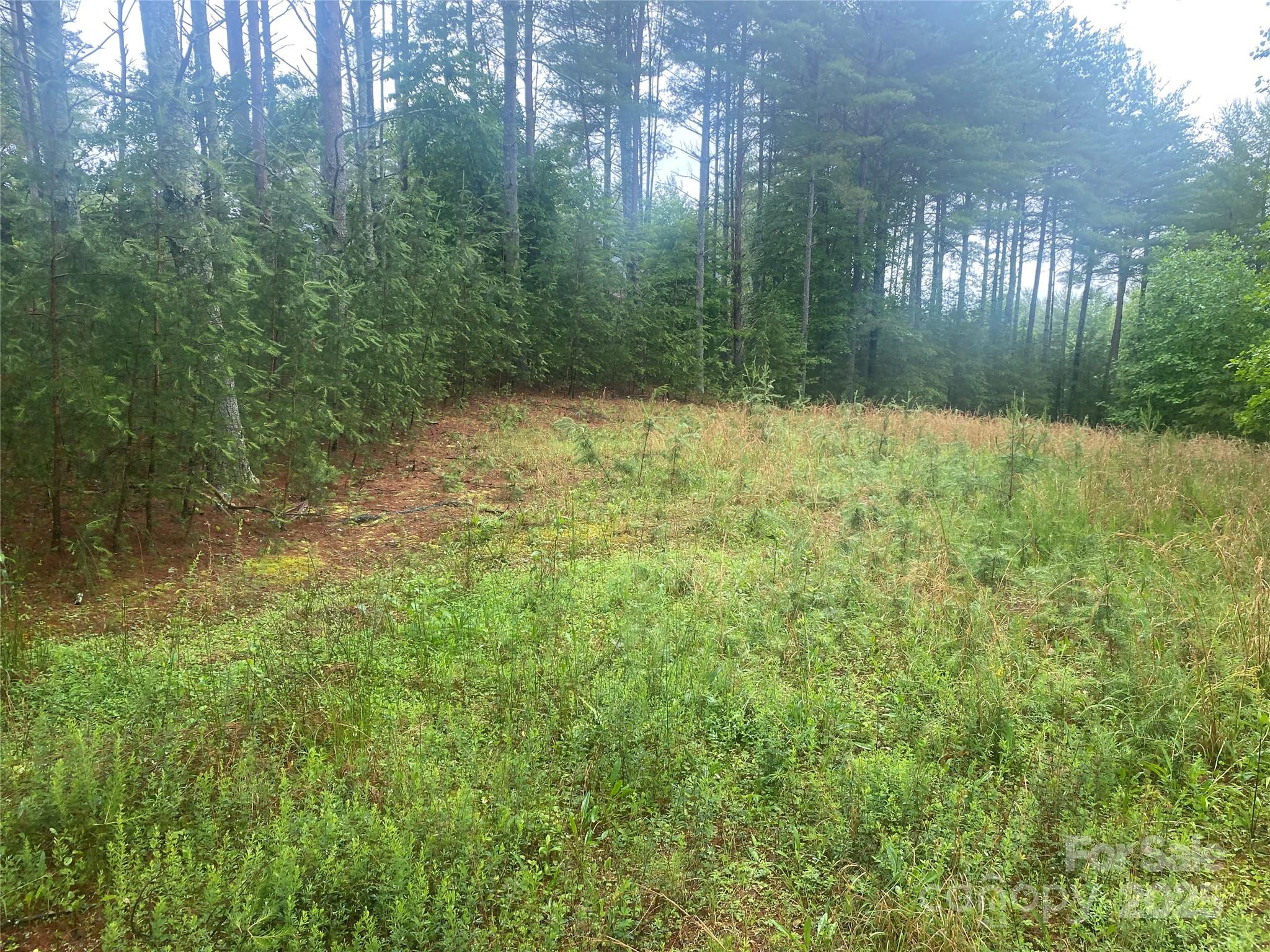 Old Wildlife Club - Land